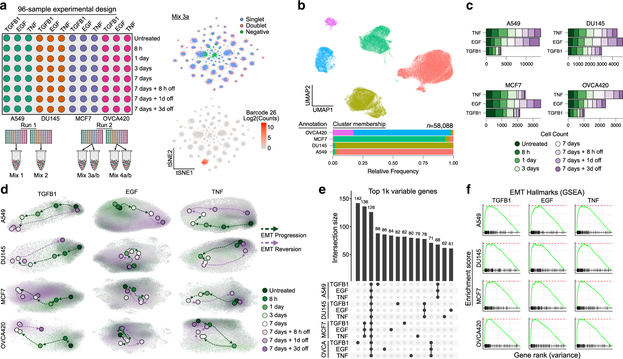 Fra-1/AP-1 induces EMT in mammary epithelial cells by modulating Zeb1/2 and  TGFβ expression