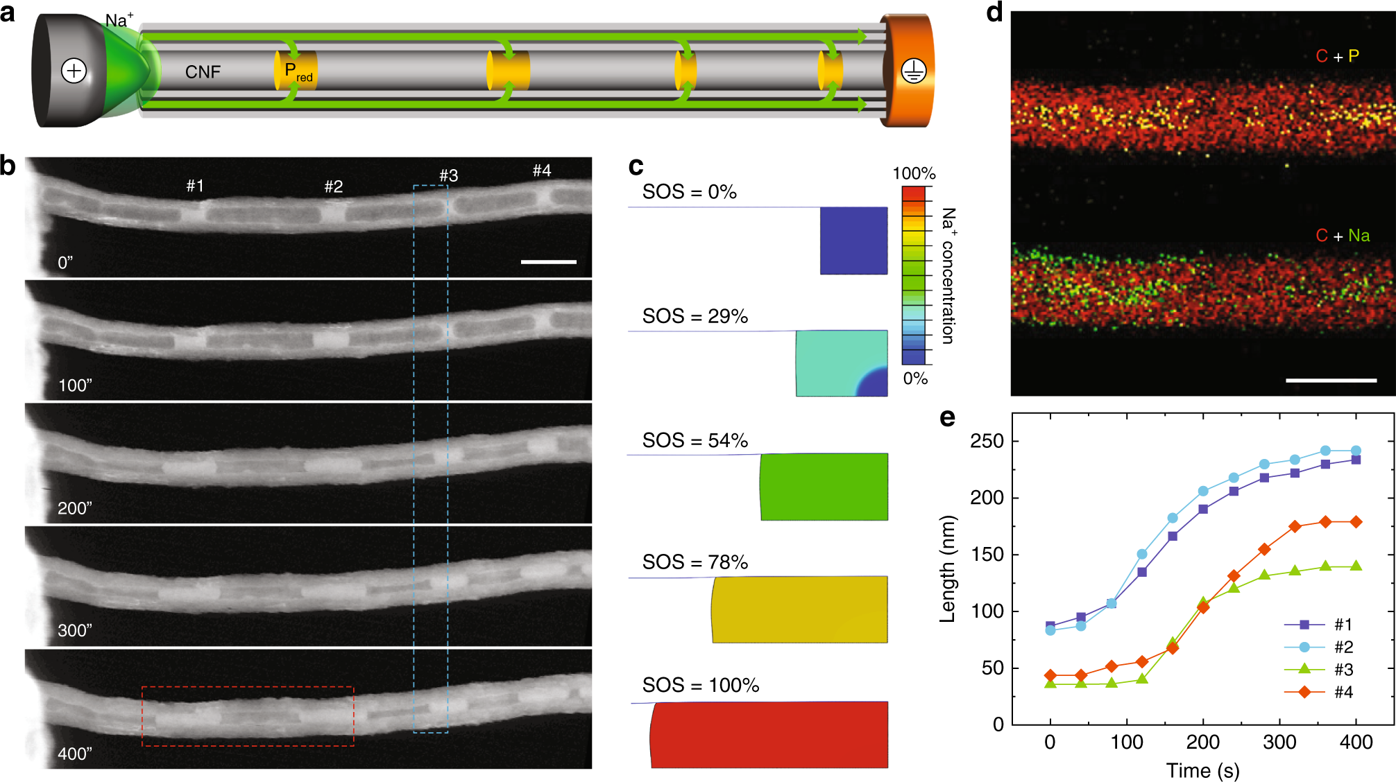 Fig. 2: In situ TEM experiment with the relevant analysis.