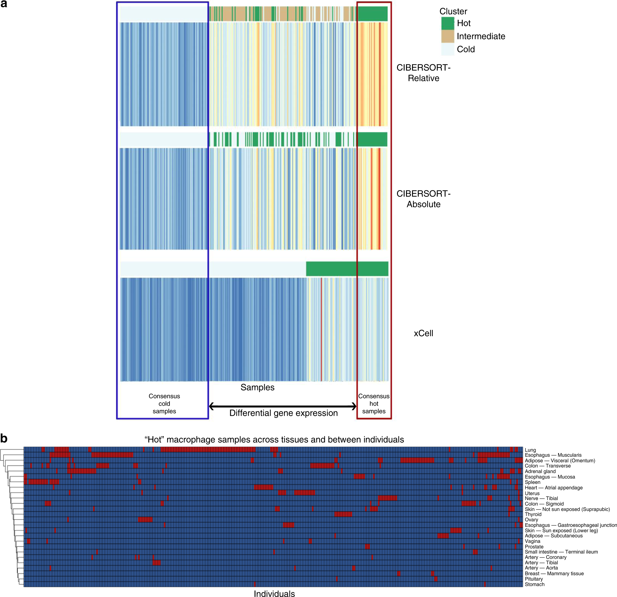 Fig. 3: Identification of hot and cold infiltration patterns.