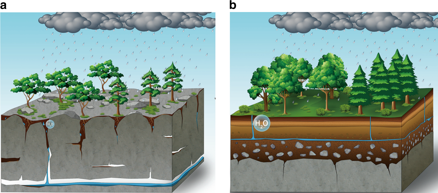 Bedrock geochemistry influences vegetation growth by regulating the  regolith water holding capacity | Nature Communications