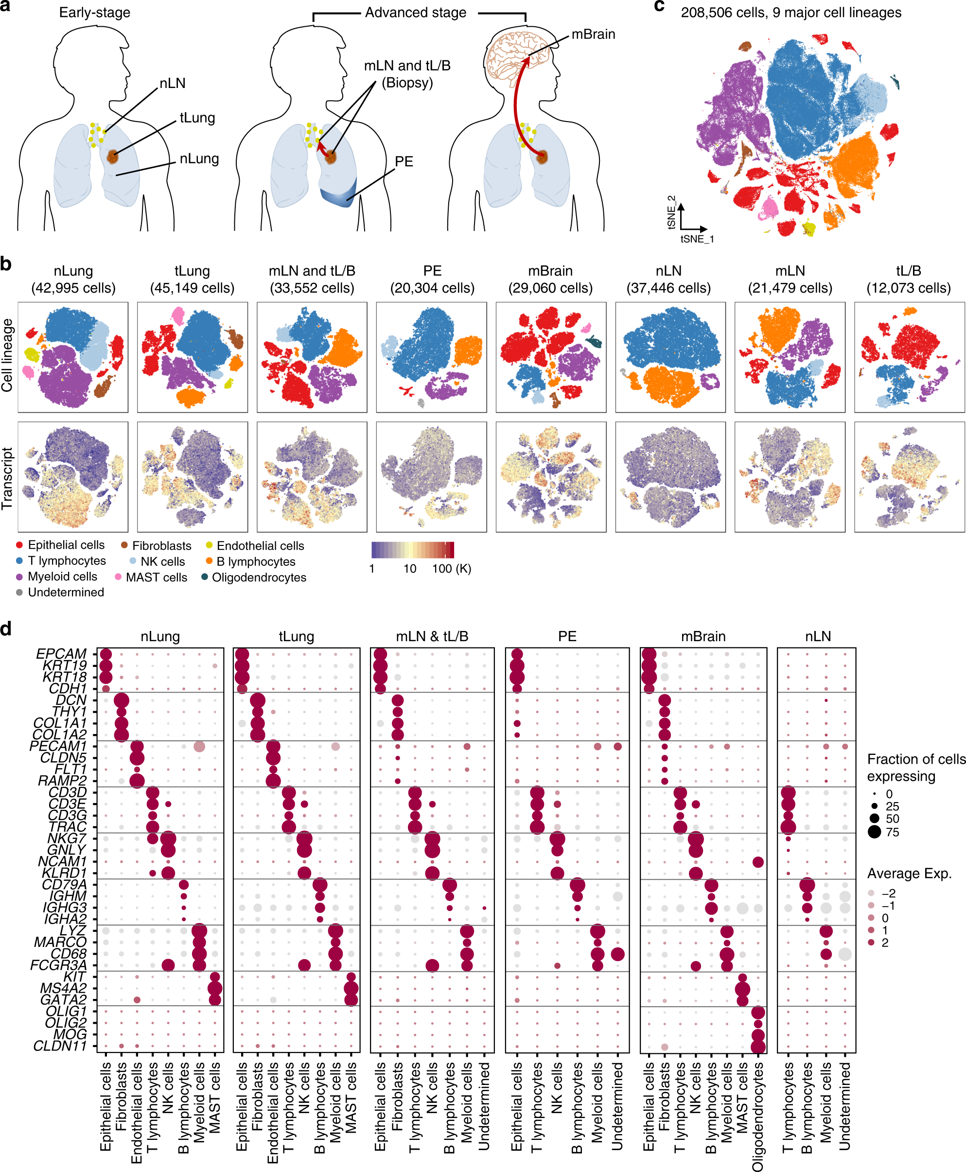 Single Cell Rna Sequencing Demonstrates The Molecular And Cellular Reprogramming Of Metastatic Lung Adenocarcinoma Nature Communications Single Cell Rna Sequencing Demonstrates The Molecular And Cellular Reprogramming Of Metastatic Lung Adenocarcinoma Nature Communications
