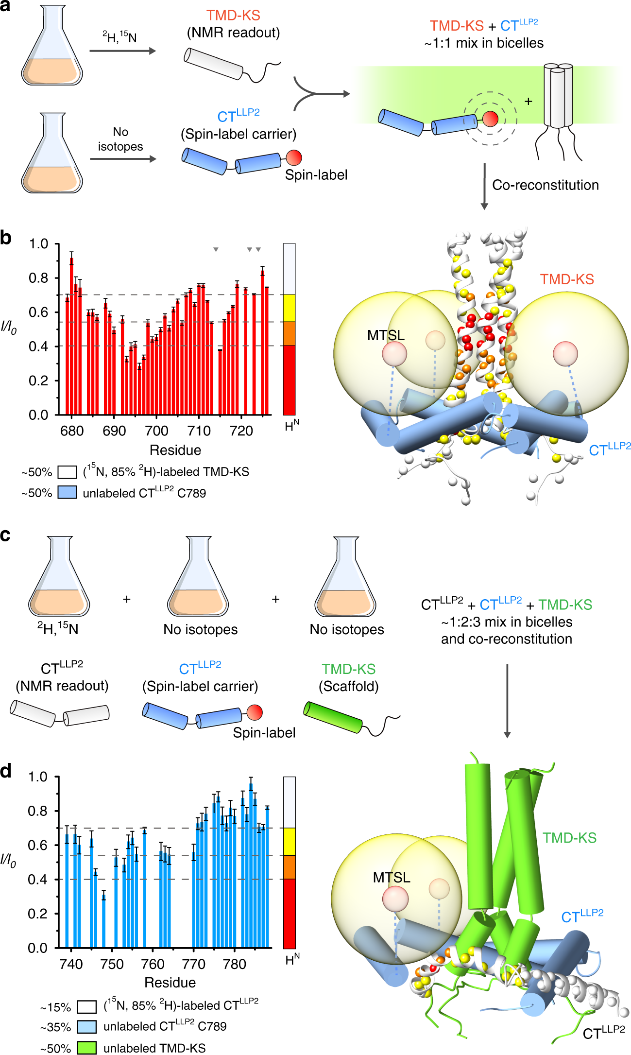 Fig. 2: Independent evidence of CTLLP2–TMD interaction.