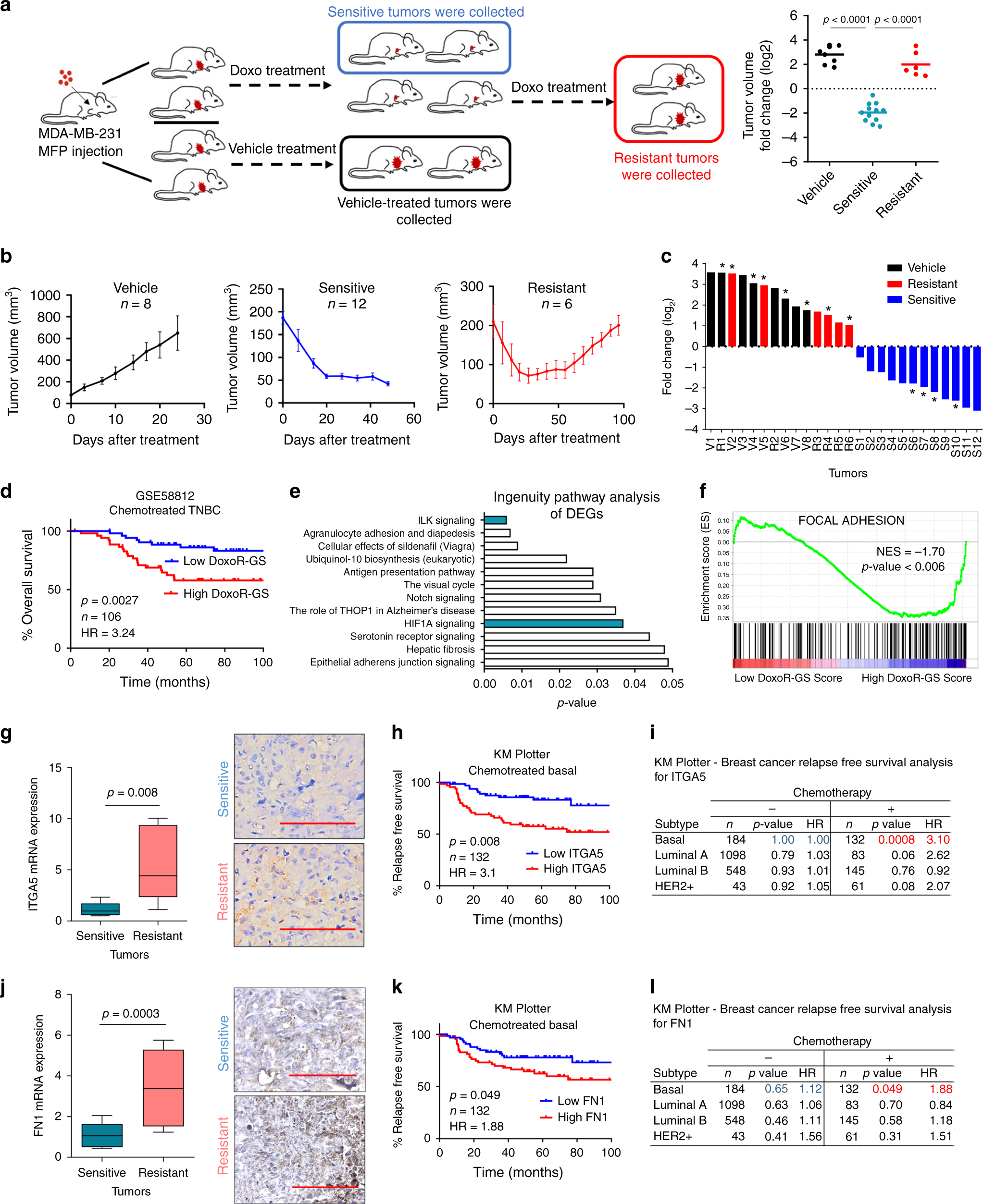 Targeting Lysyl Oxidase Lox Overcomes Chemotherapy Resistance In Triple Negative Breast Cancer Nature Communications