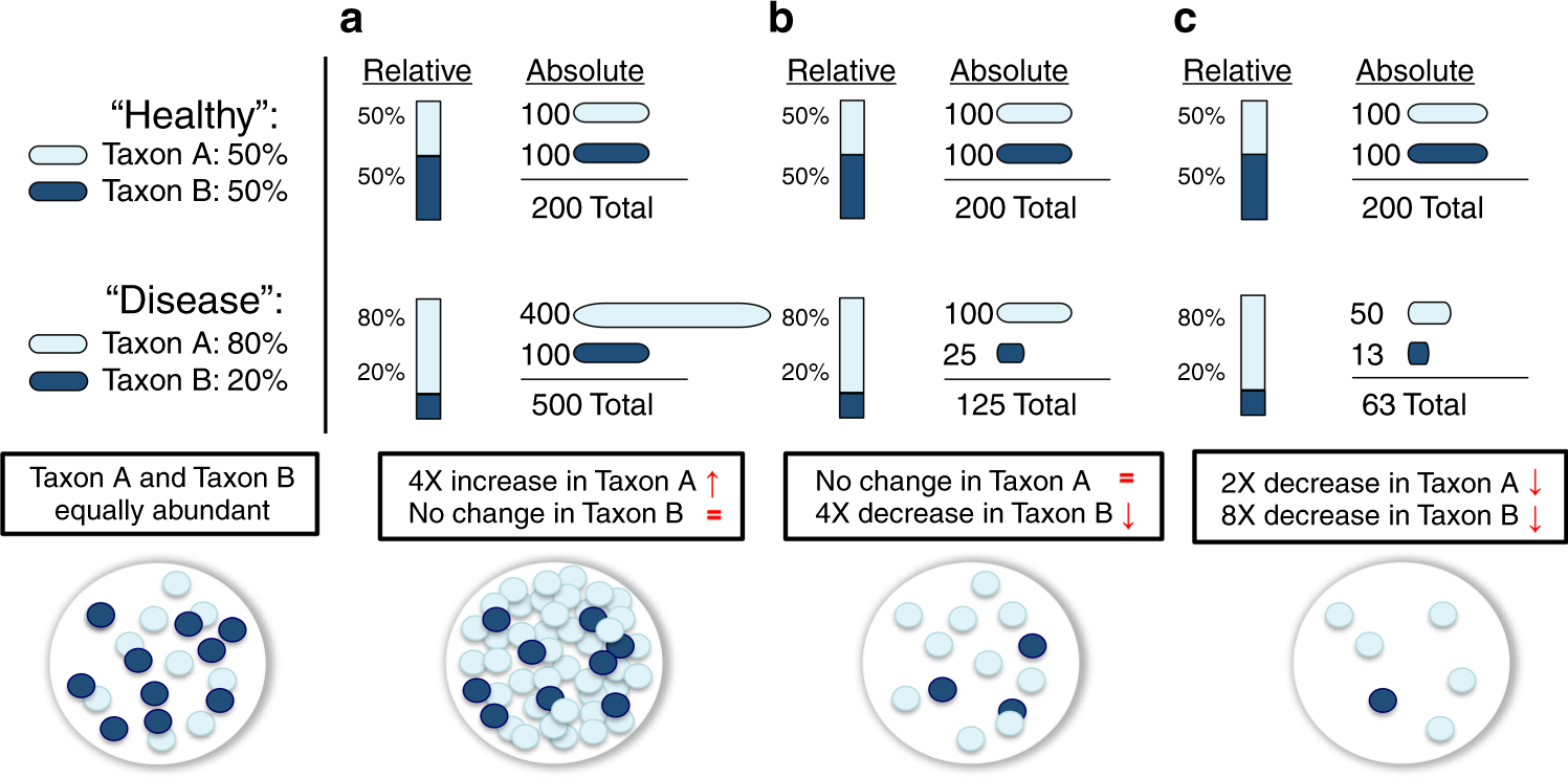 A Quantitative Sequencing Framework For Absolute Abundance Measurements Of Mucosal And Lumenal Microbial Communities Nature Communications A Quantitative Sequencing Framework For Absolute Abundance Measurements Of Mucosal And Lumenal Microbial Communities Nature Communications