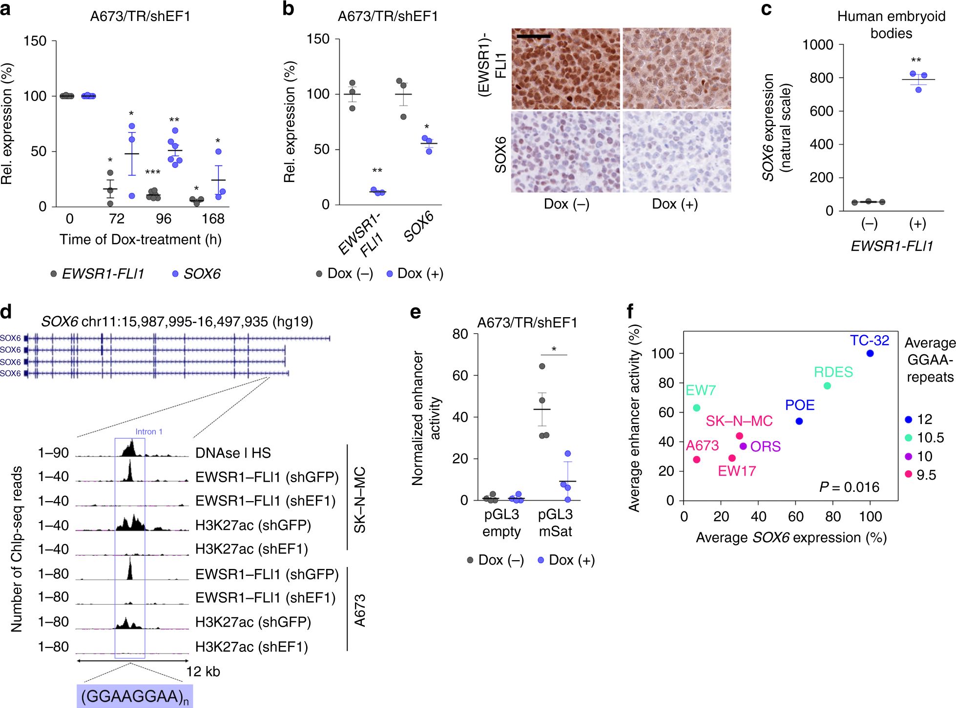 Fig. 2: EWSR1-FLI1 induces SOX6 expression via an intronic GGAA-mSat.