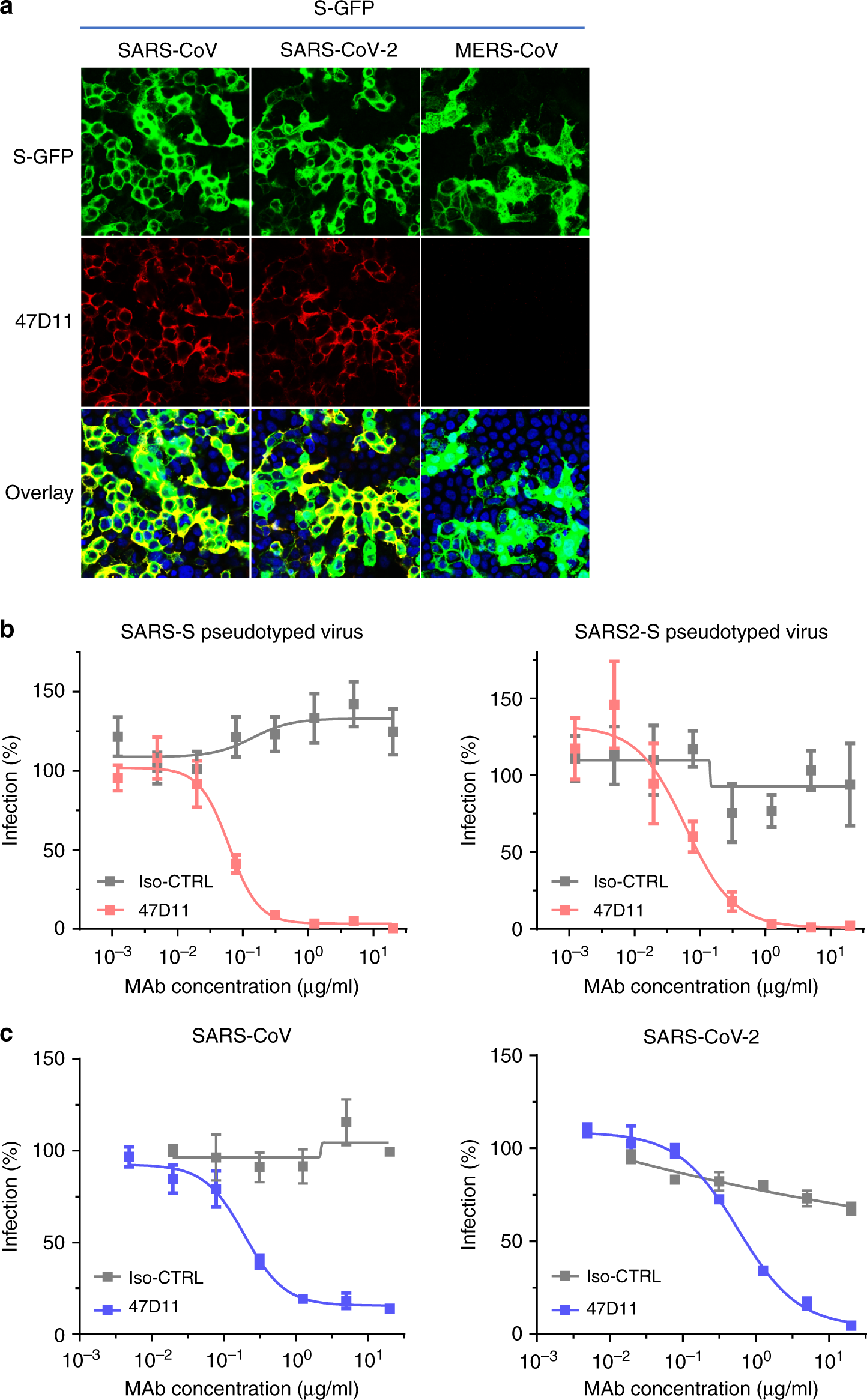 Human SARS-CoV-2 Spike (Trimer) IgG ELISA Kit - Invitrogen