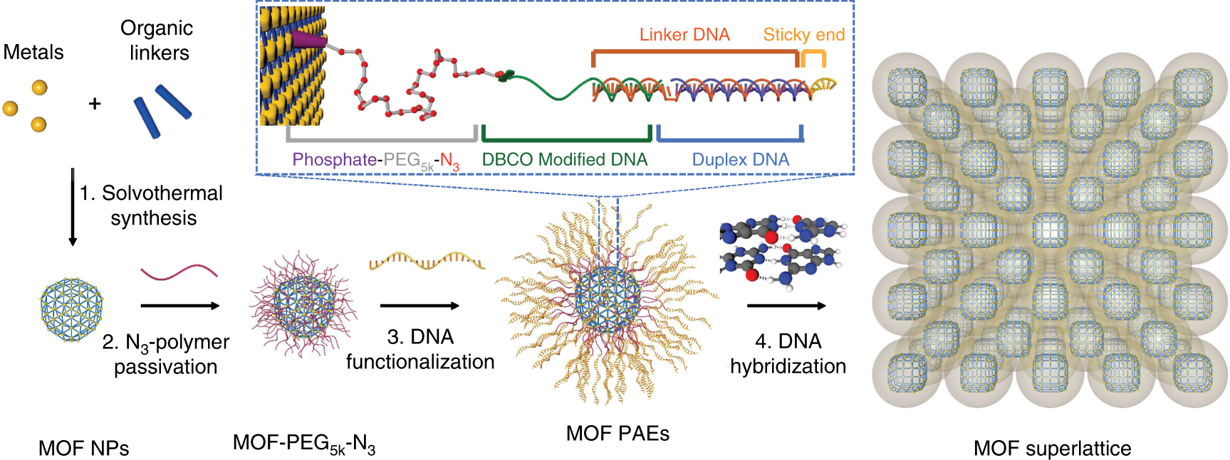 Colloidal Crystal Engineering With Metal Organic Framework Nanoparticles And Dna Nature Communications