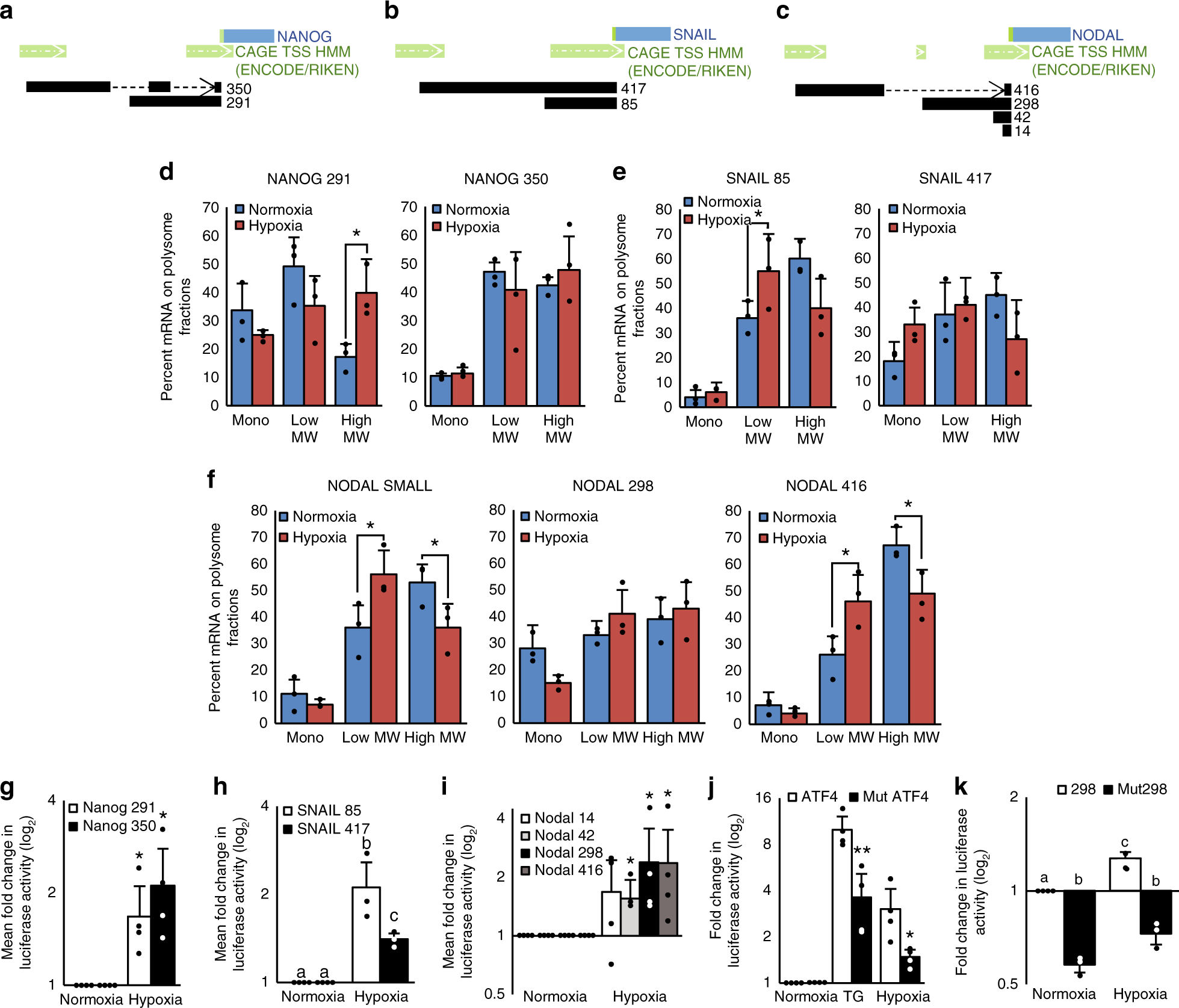 Fig. 2: Isoform-specific selective translation of BCSC-associated transcripts in hypoxia.