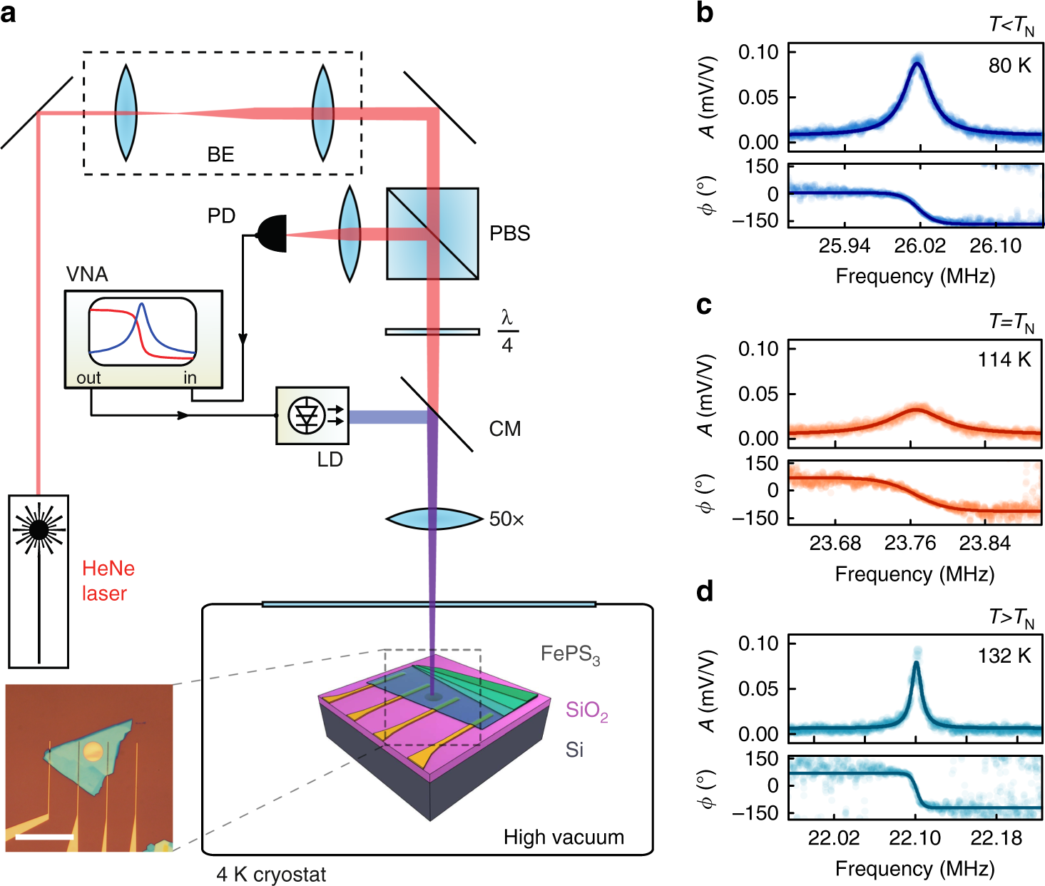 Magnetic and electronic phase transitions probed by nanomechanical  resonators | Nature Communications