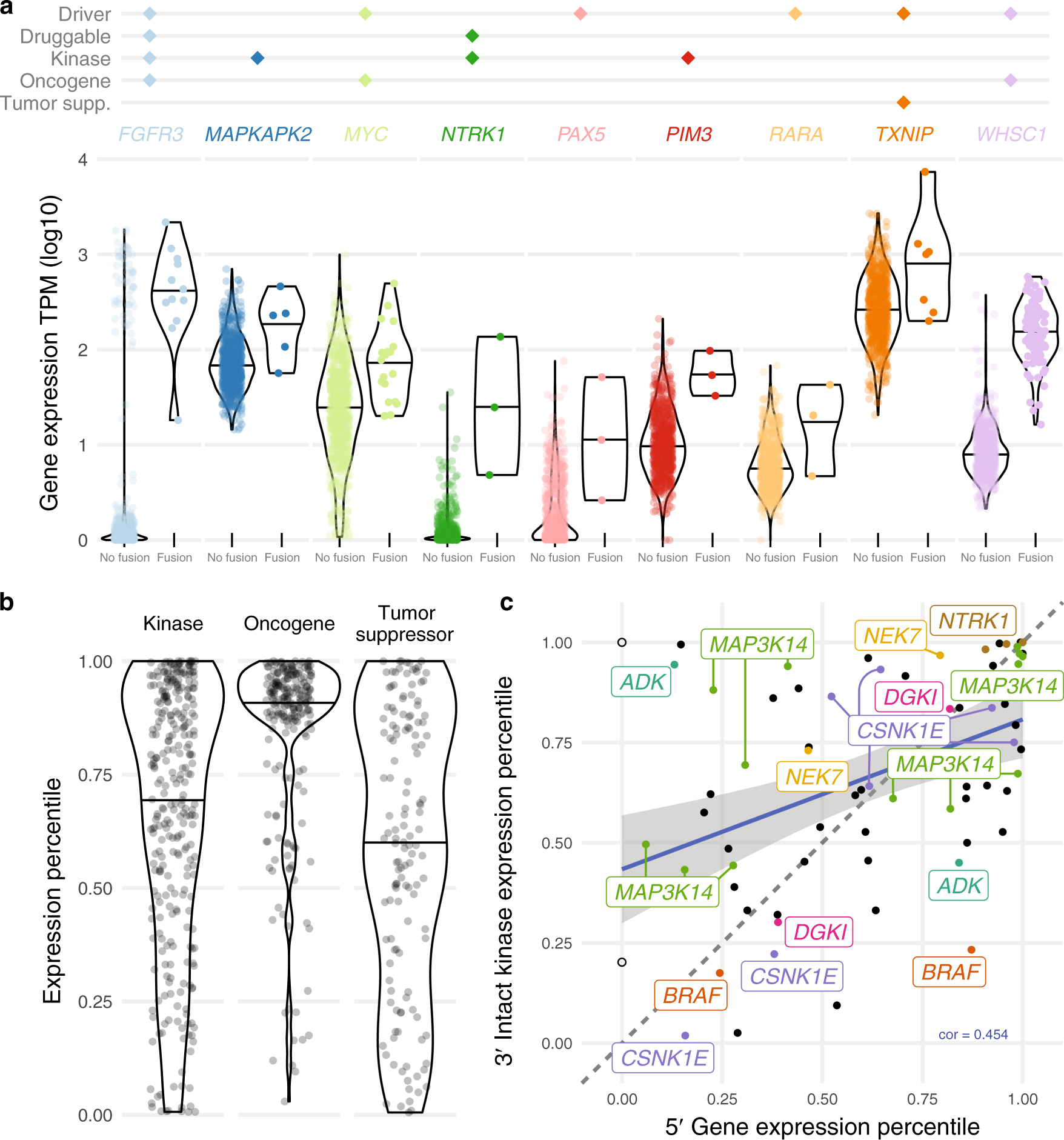 Fig. 2: Expression of cancer-related genes.