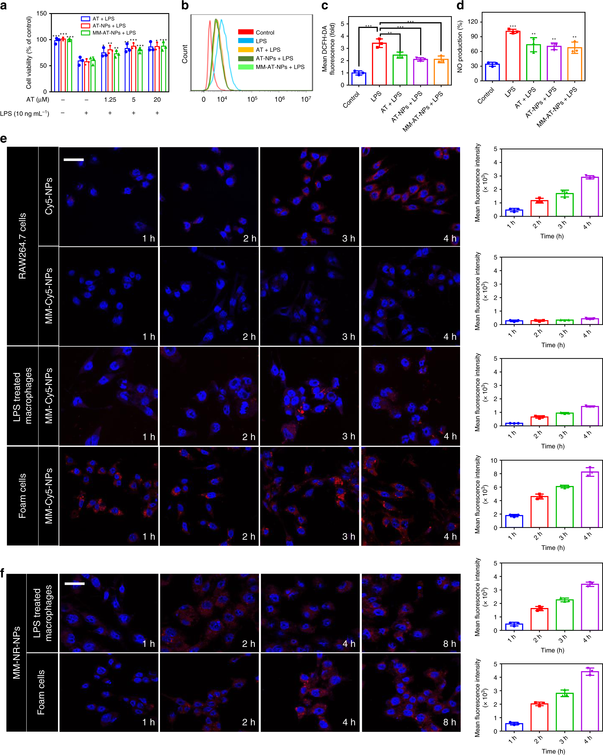 Fig. 2: Attenuation effects on LPS-induced inflammation and oxLDL-induced foam cells formation by MM-AT-NPs.