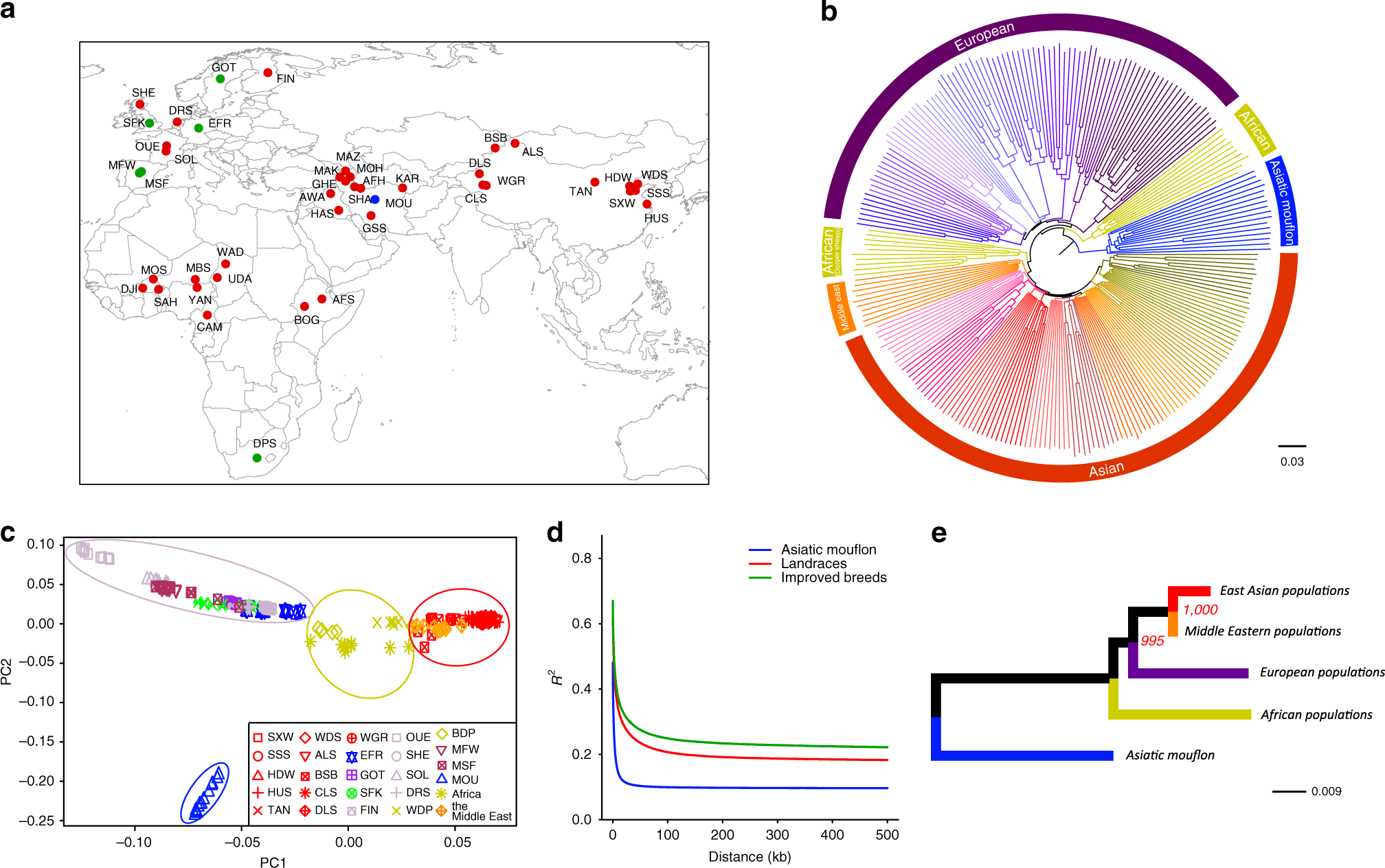Whole-genome resequencing of wild and domestic sheep identifies genes  associated with morphological and agronomic traits | Nature Communications