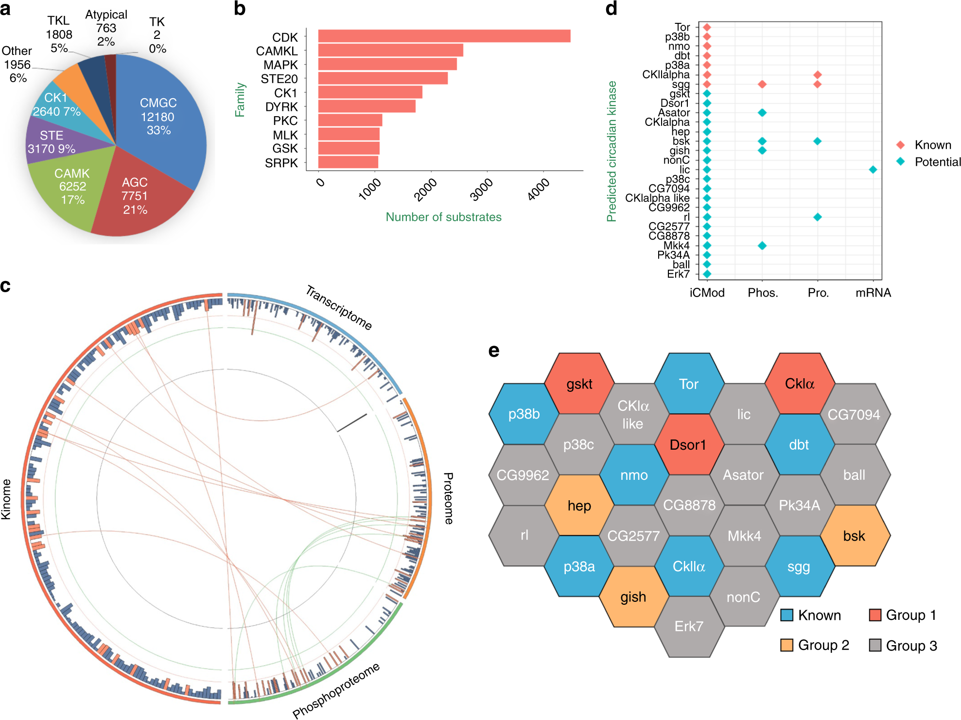 Fig. 4: Computational prediction of a circadian kinome.