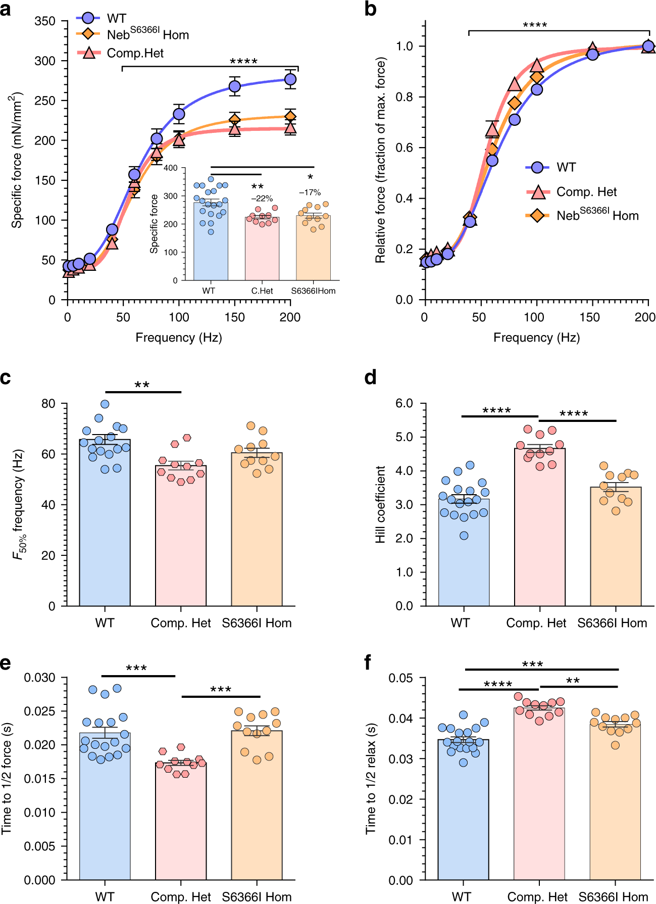 Fig. 6: Muscle mechanics.