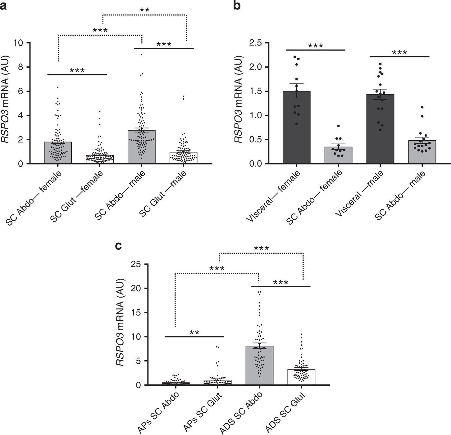Fig. 2: RSPO3 expression in human abdominal and gluteal whole AT and AT fractions.