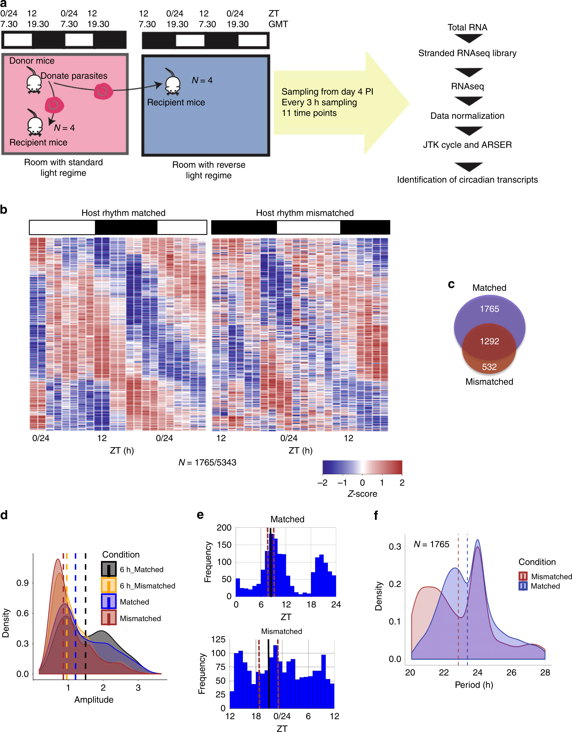 Fig. 1: P. chabaudi gene expression is sensitive to the phase of host circadian rhythms.