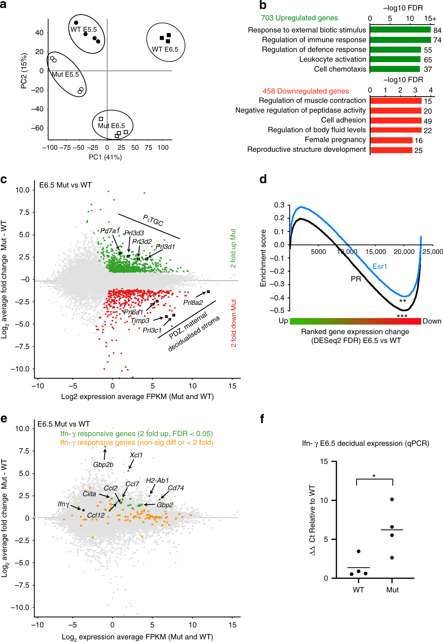 Fig. 4: Transcriptional changes in E5.5 and E6.5 Blimp1 mutant decidua.