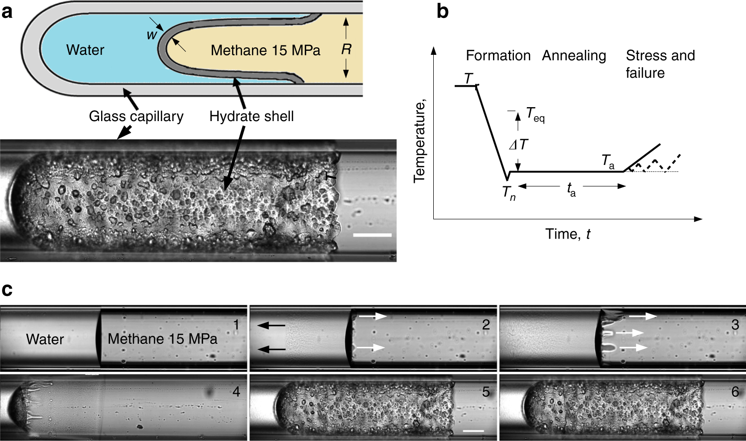 Contactless Probing Of Polycrystalline Methane Hydrate At Pore Scale Suggests Weaker Tensile Properties Than Thought Nature Communications