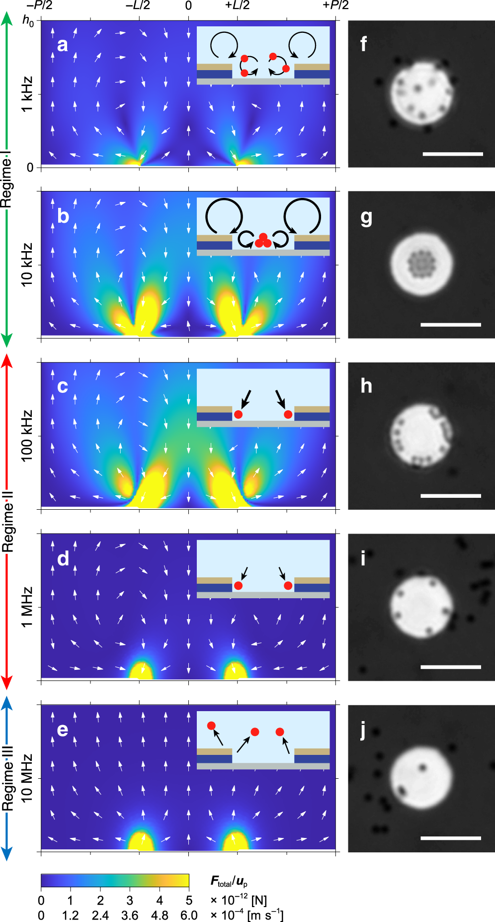 Fig. 3: Frequency-dependent particle movements on the VNE.