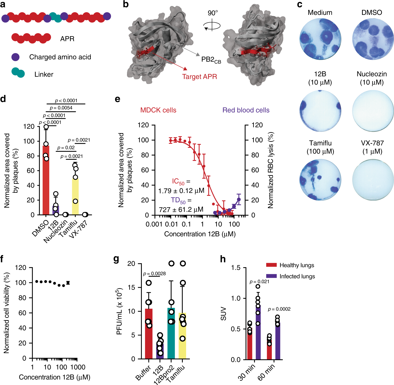 Reverse Engineering Synthetic Antiviral Amyloids Nature Communications Reverse Engineering Synthetic Antiviral Amyloids Nature Communications