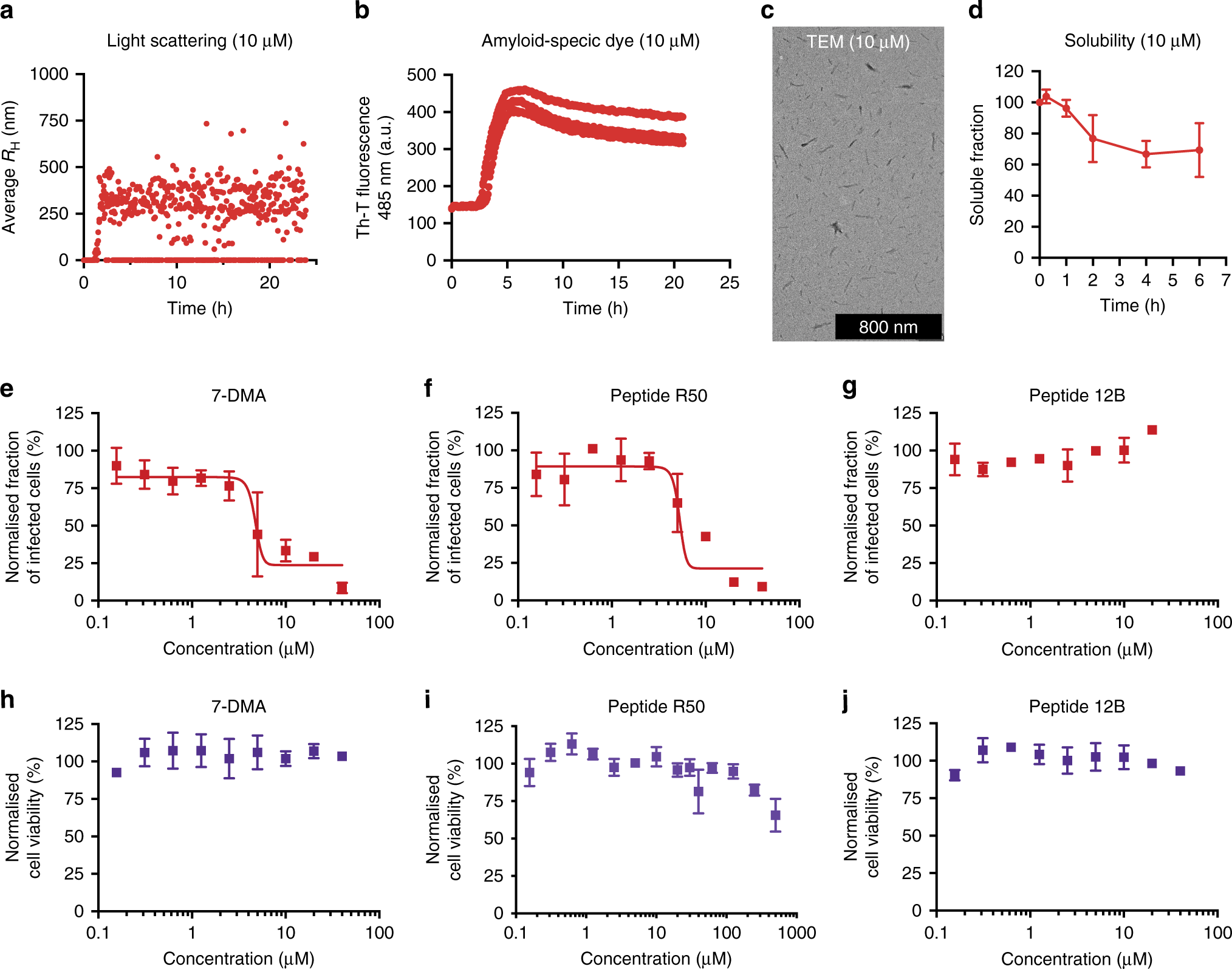 Fig. 6: Peptide R50 organizes into amyloid structures and interferes with ZIKV replication.