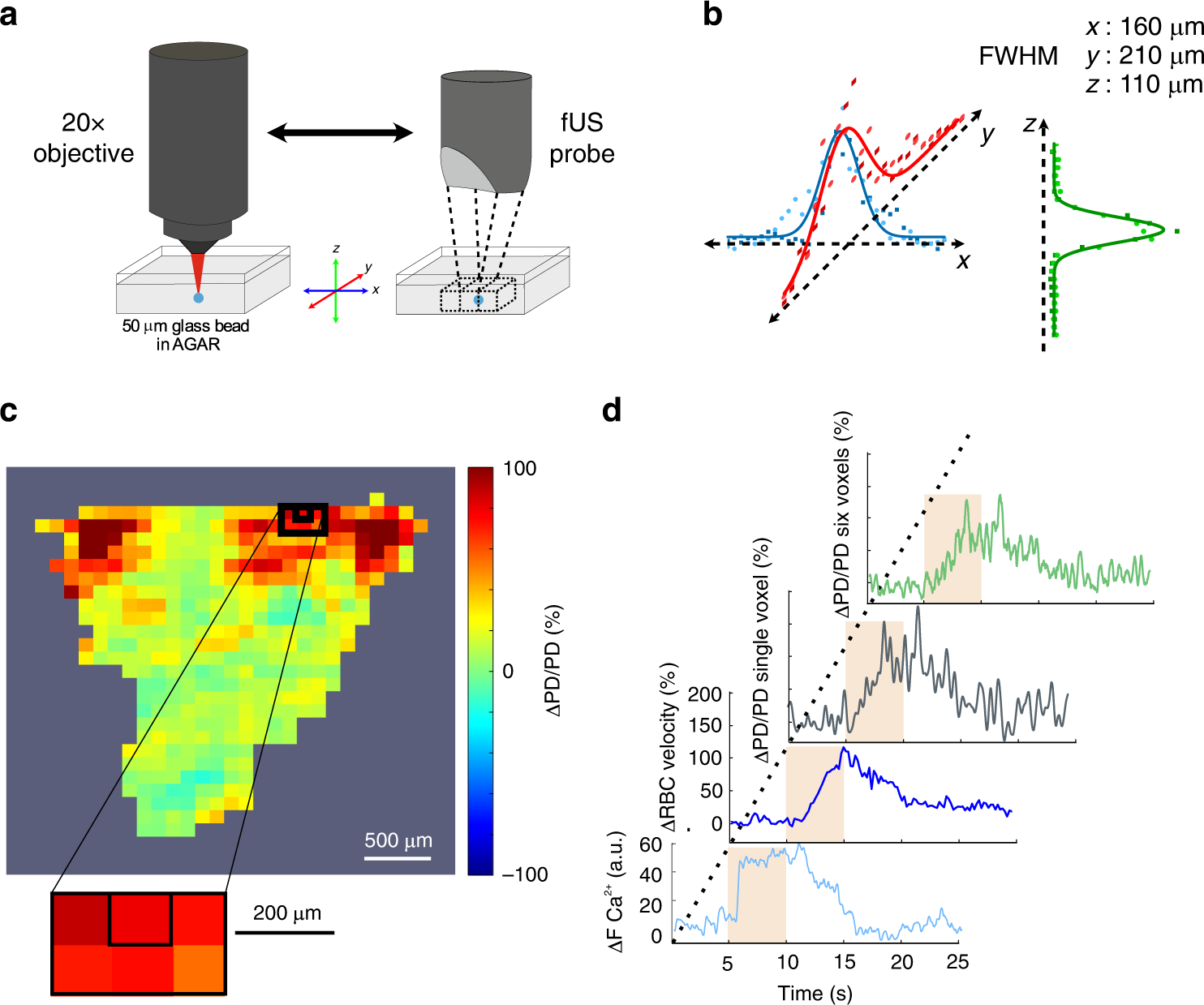 Fig. 3: Co-registration of fUS (single voxel) and two-photon imaging.