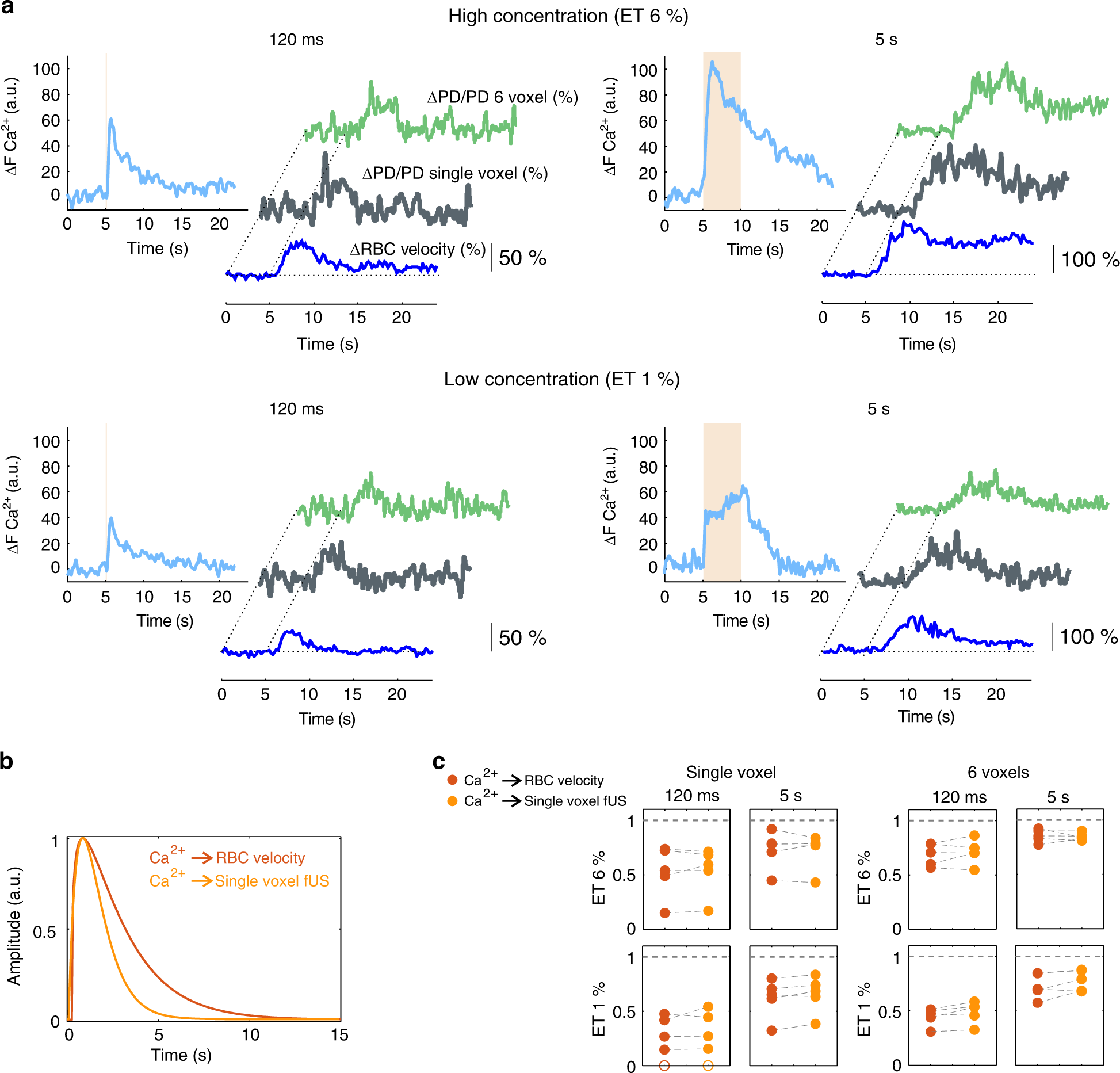 Fig. 4: Co-registration of microscopic and mesoscopic vascular responses to odor.