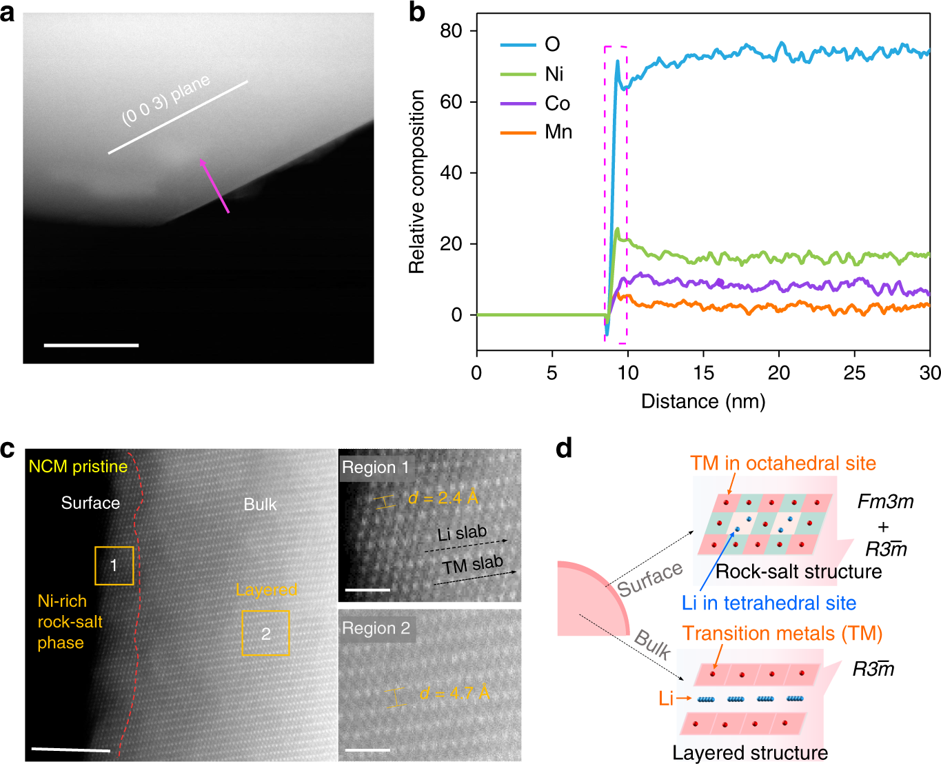 Fig. 2: Surface analysis of pristine NCM electrodes.