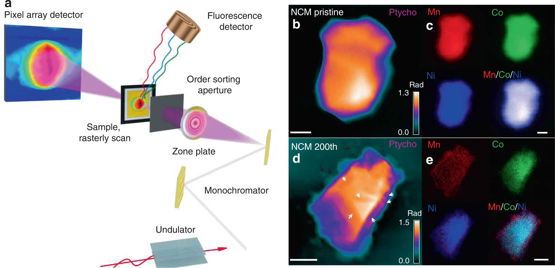 Fig. 5: Simultaneous X-ray fluorescence and ptychography.