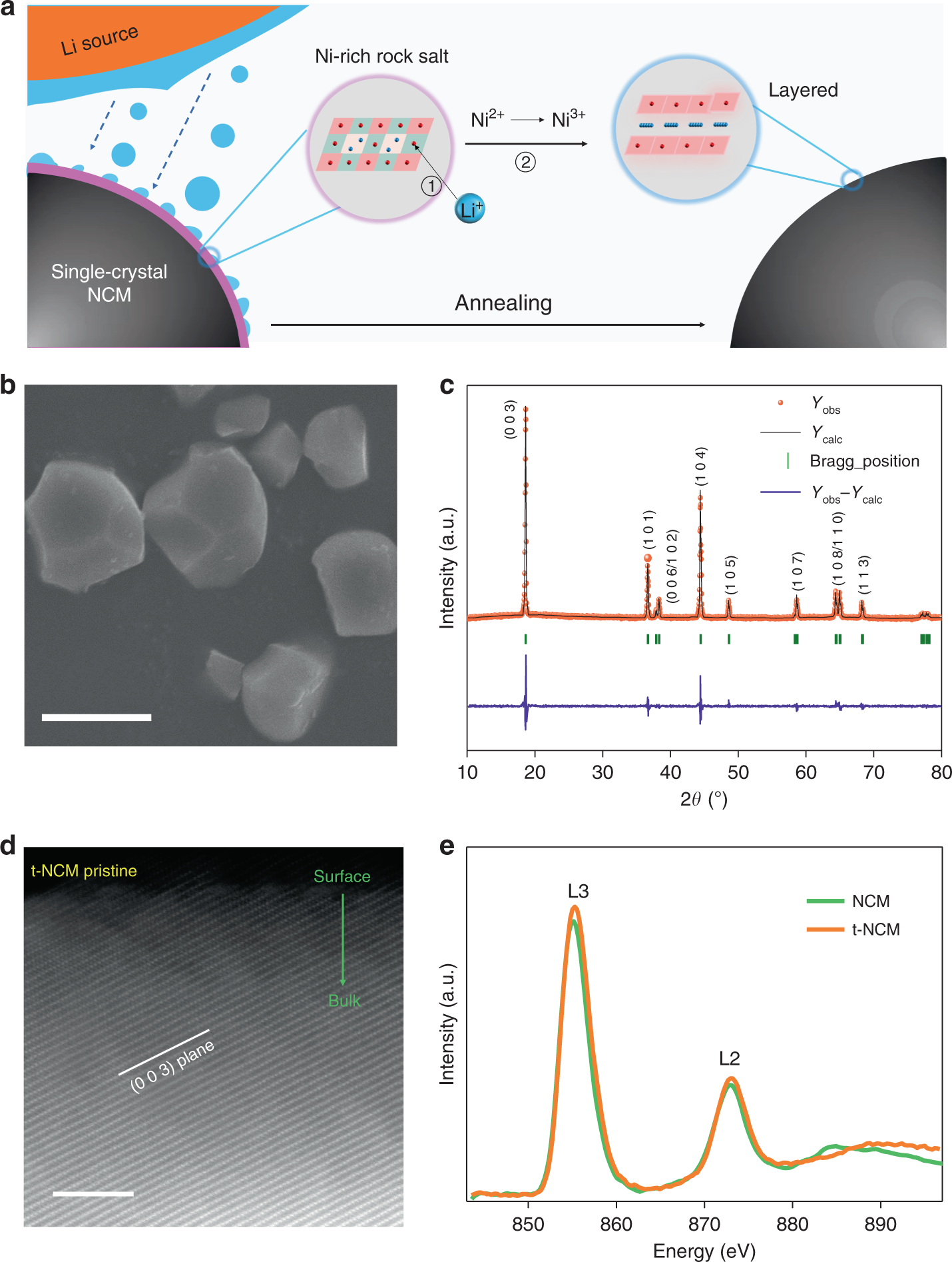 Fig. 7: Surface structure and morphology analysis of the t-NCM.