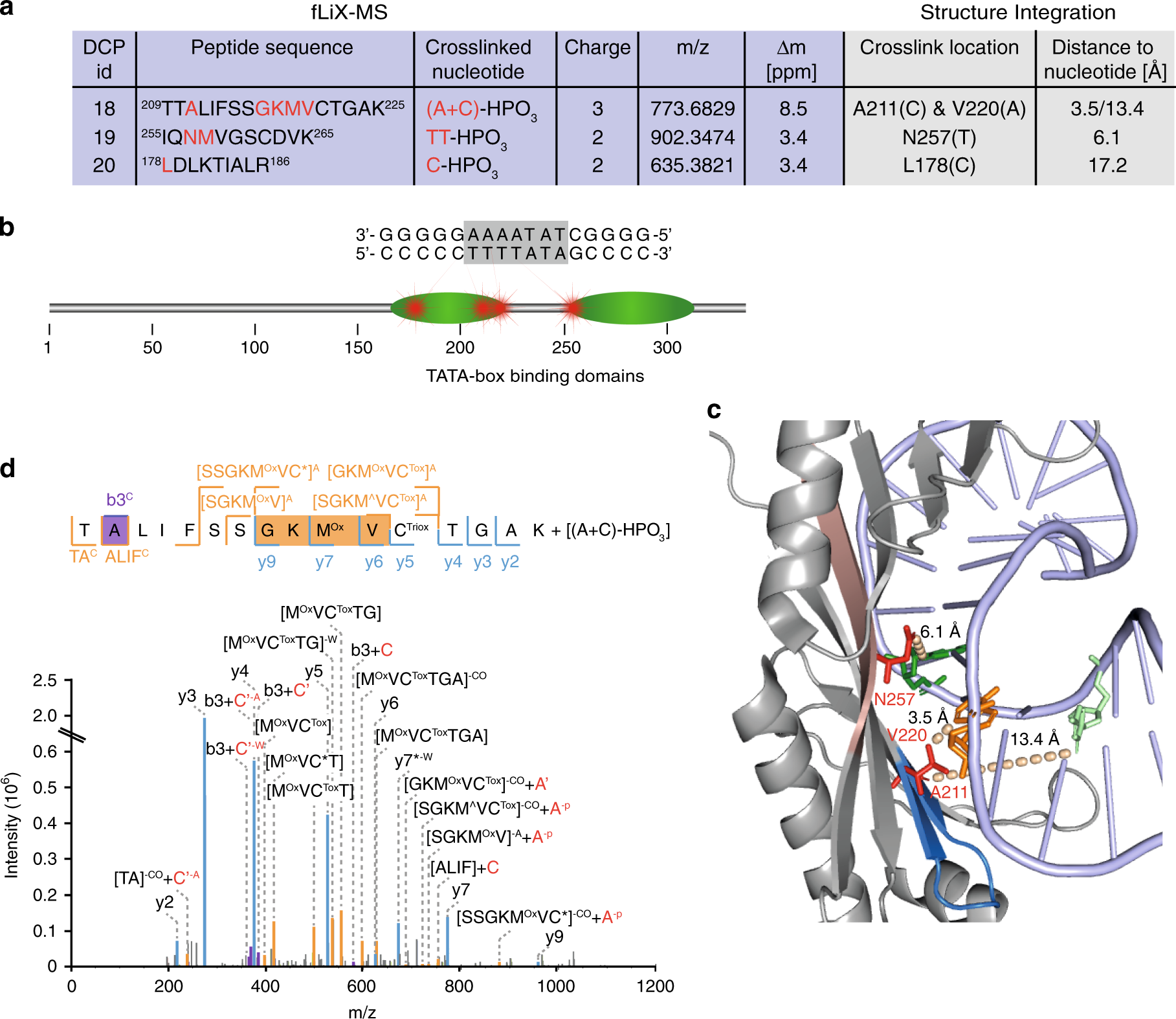 Fig. 5: Cross-linking of the TATA-box binding transcription factor TBP.