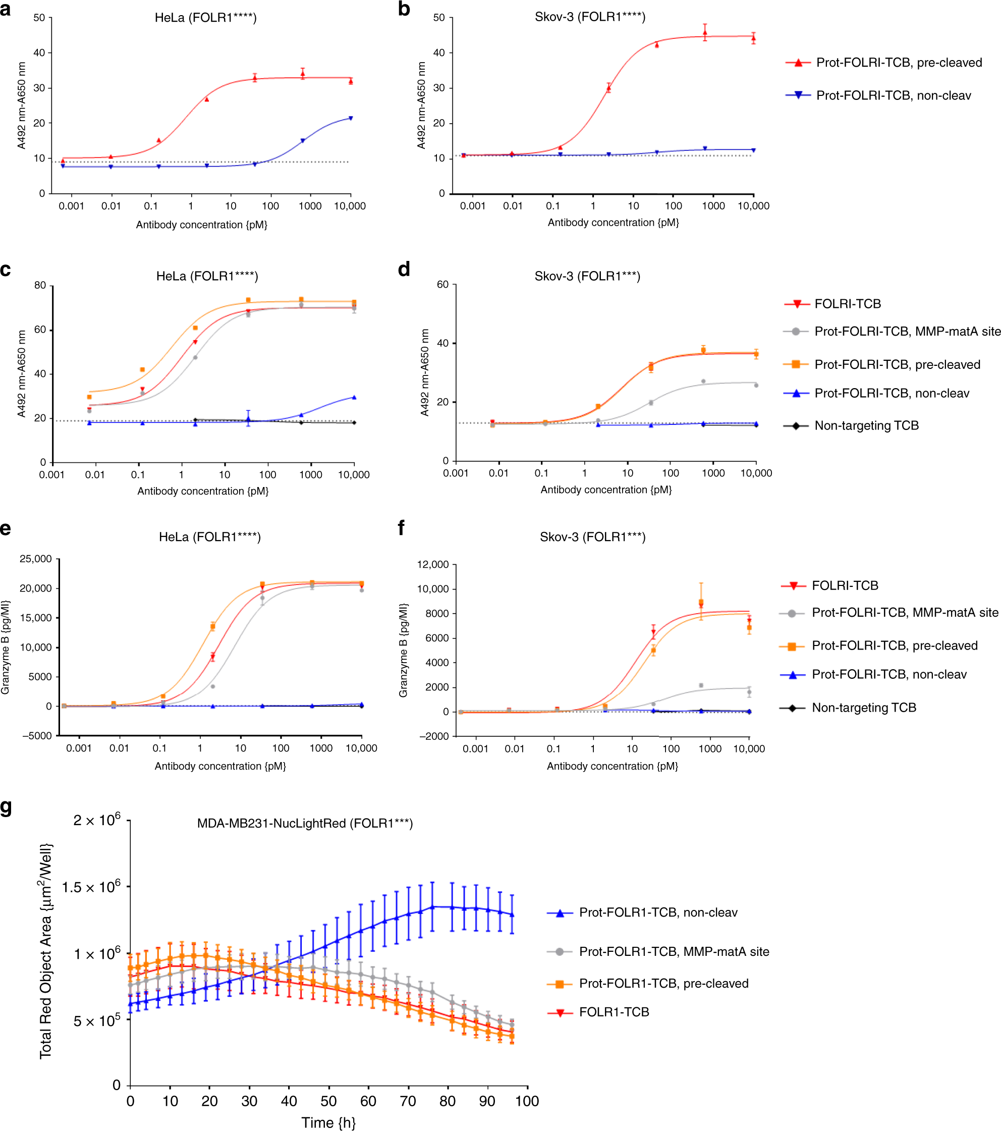 Fig. 5: Prot-FOLR1-TCB is efficiently blocked while its potency can be fully restored upon linker cleavage.