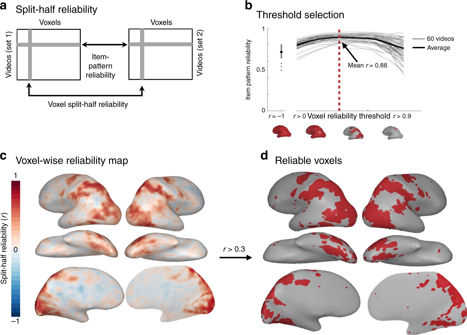 Sociality and interaction envelope organize visual action representations |  Nature Communications