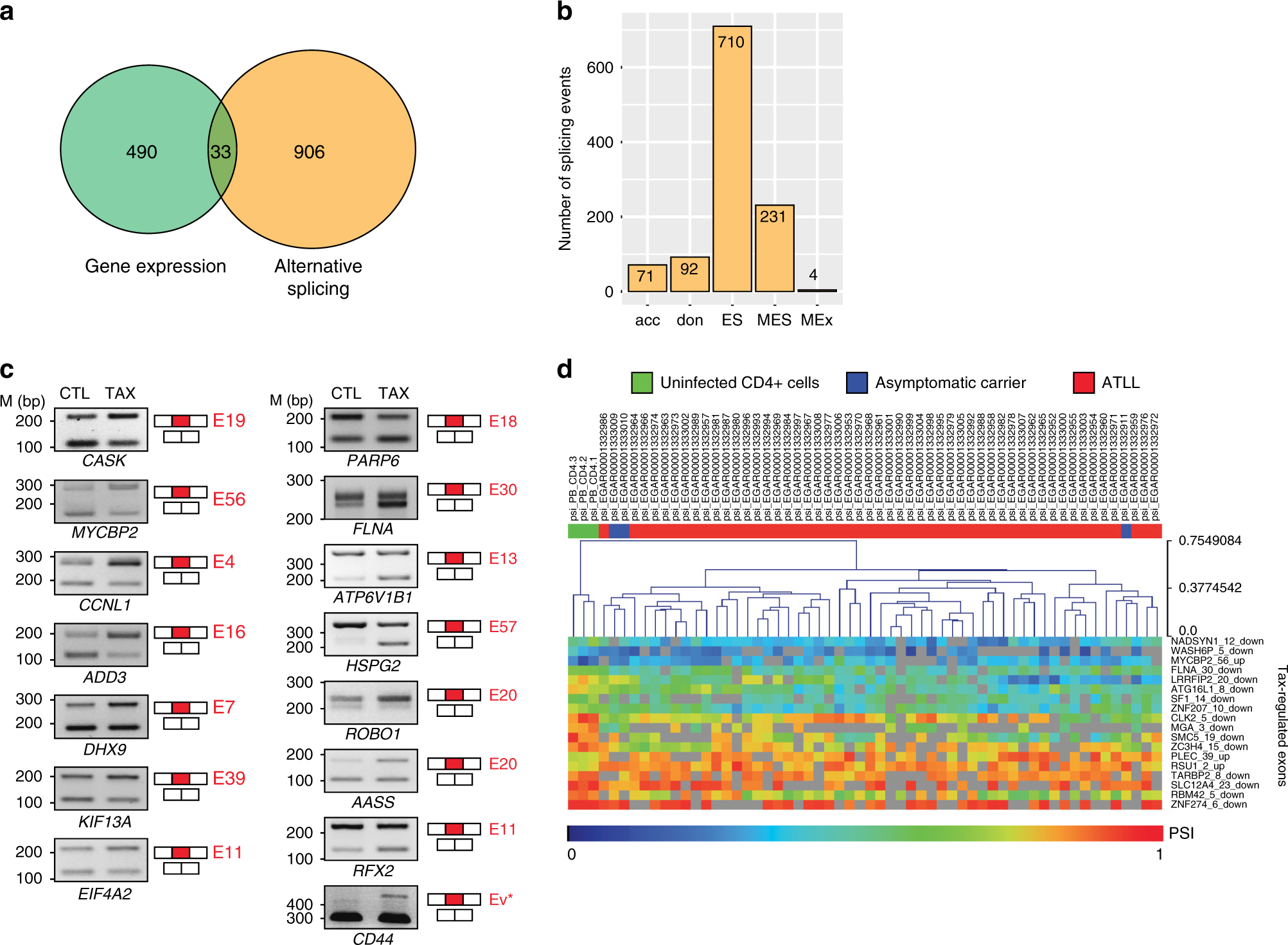 Intragenic recruitment of NF-κB drives splicing modifications upon  activation by the oncogene Tax of HTLV-1 | Nature Communications