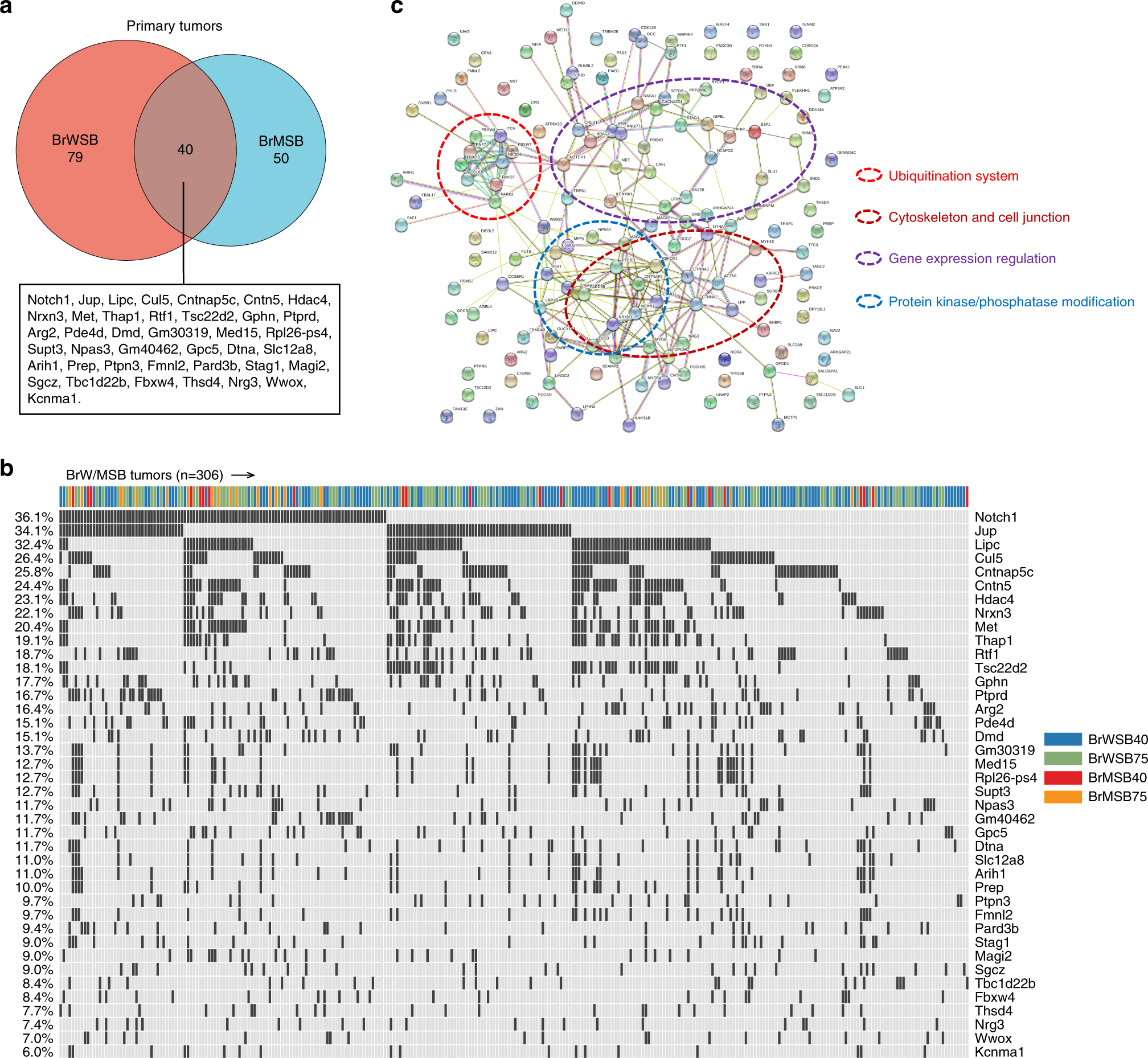 Fig. 2: SB-driven candidate gene identification and functional annotations.