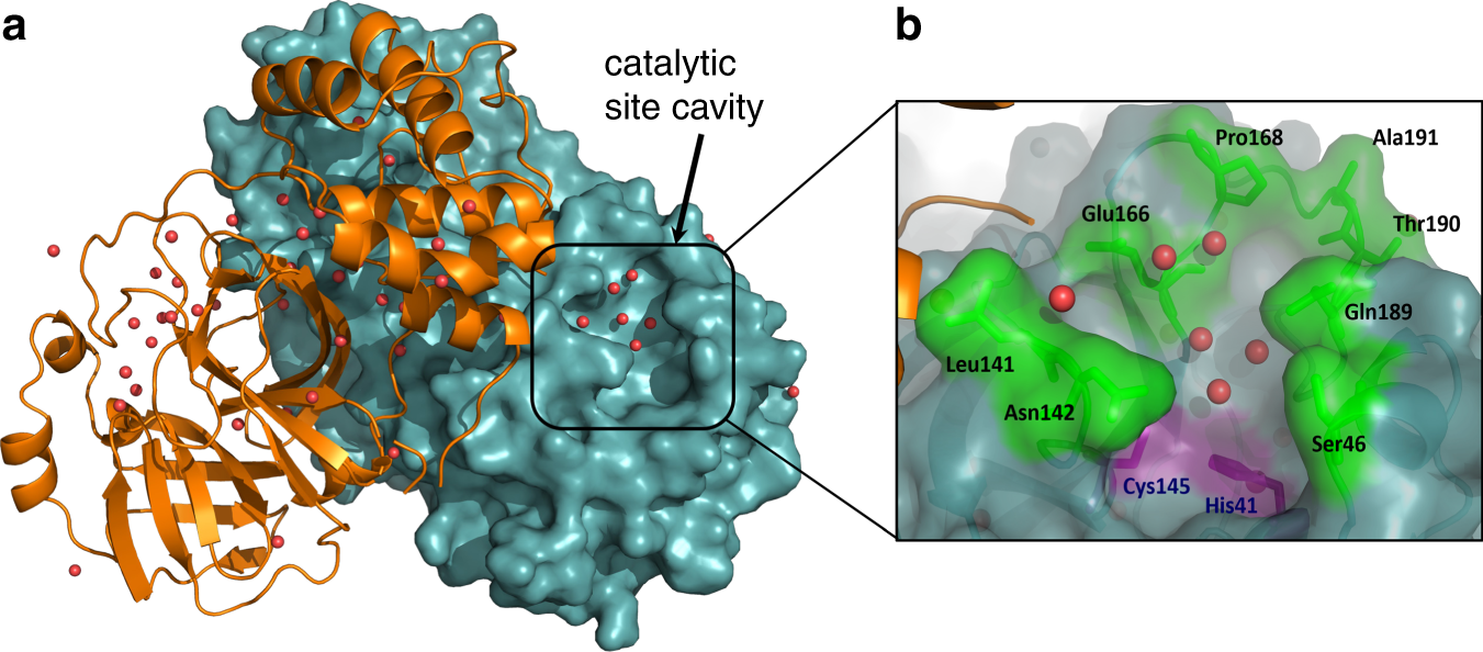 Potent Noncovalent Inhibitors of the Main Protease of SARS-CoV-2