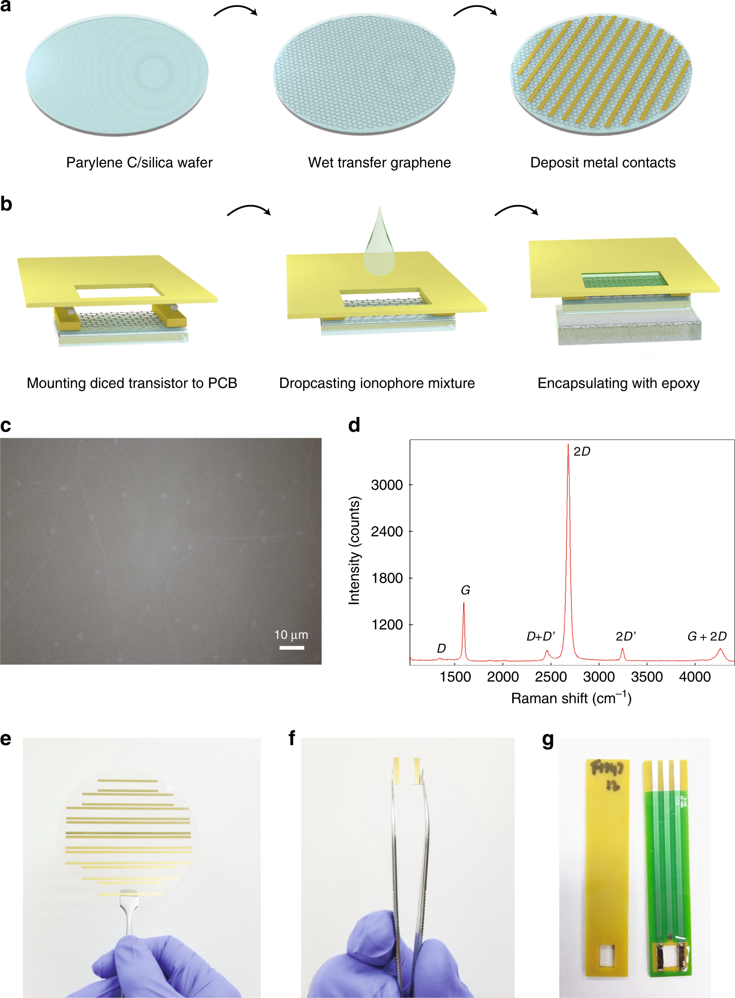 Selective ion sensing with high resolution large area graphene field effect  transistor arrays | Nature Communications