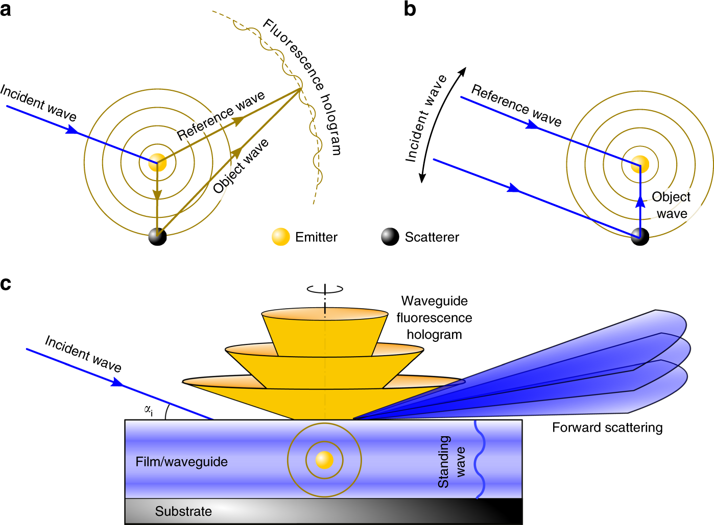 Fig. 1