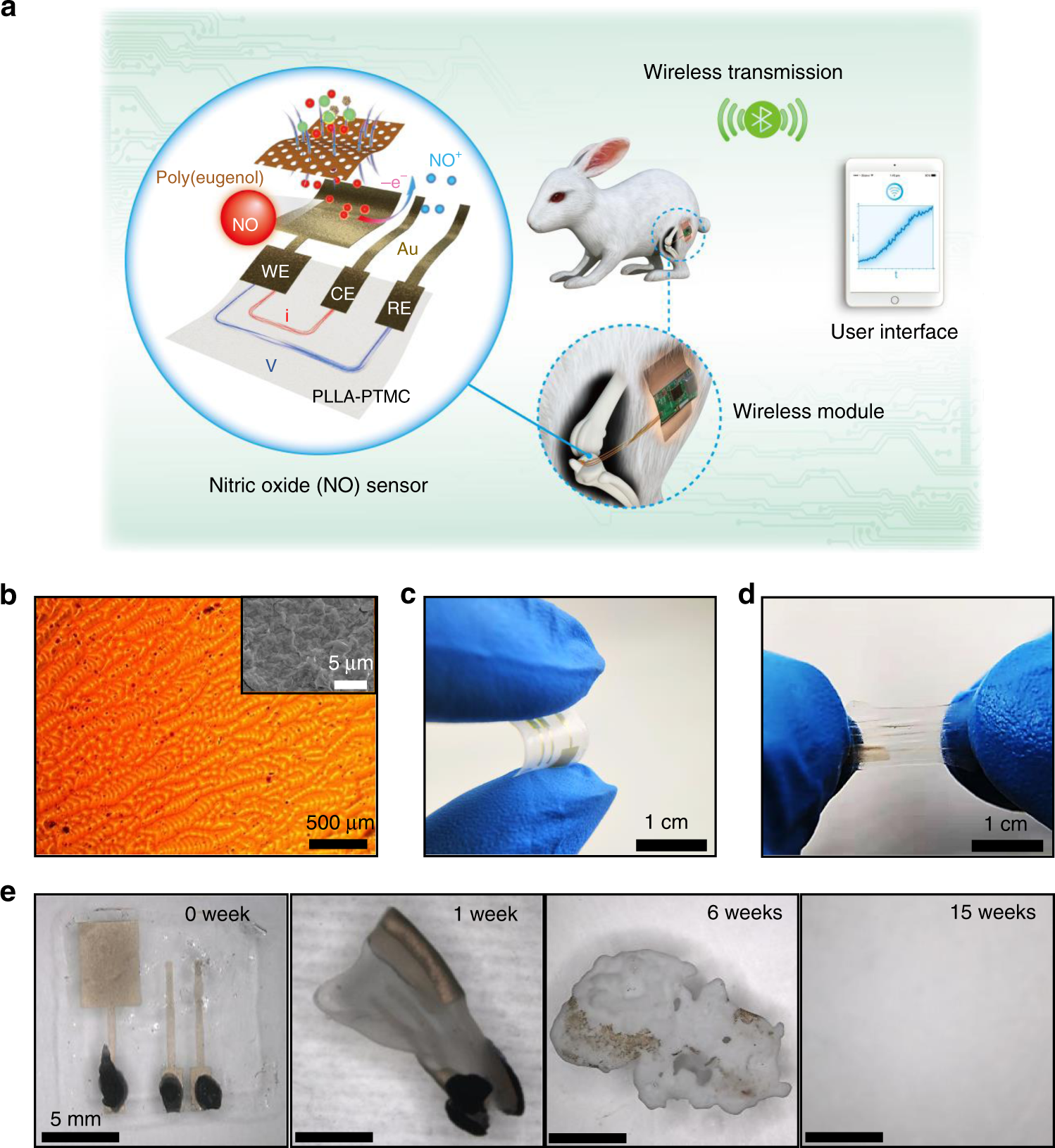 Electrochemical Portable Method for on site Screening of