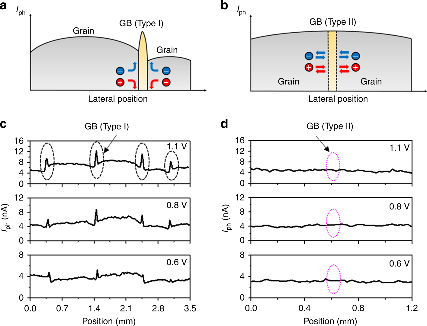 Fig. 5: Two GB types revealed in polycrystalline MAPbI3 thin film.