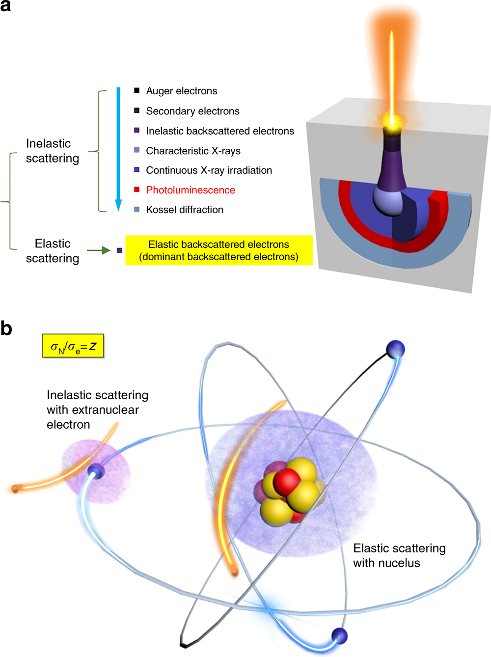 Fig. 1: Interactions between β-ray and solids.