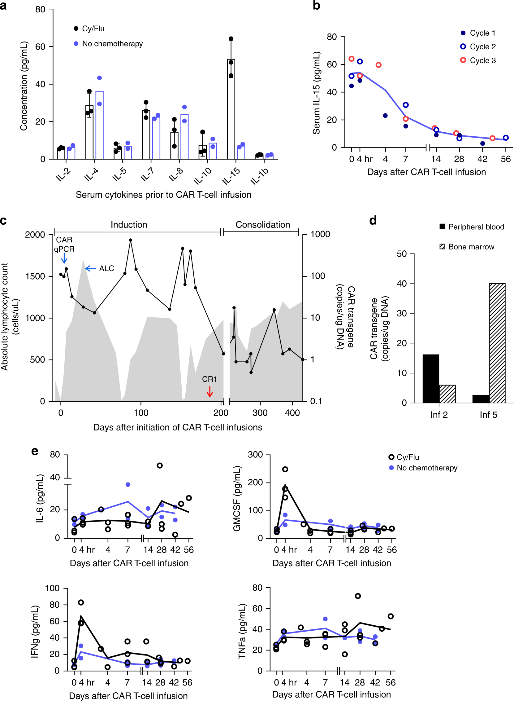 Fig. 2: Measurement of serum cytokines and monitoring of HER2 CAR T cells after infusion.