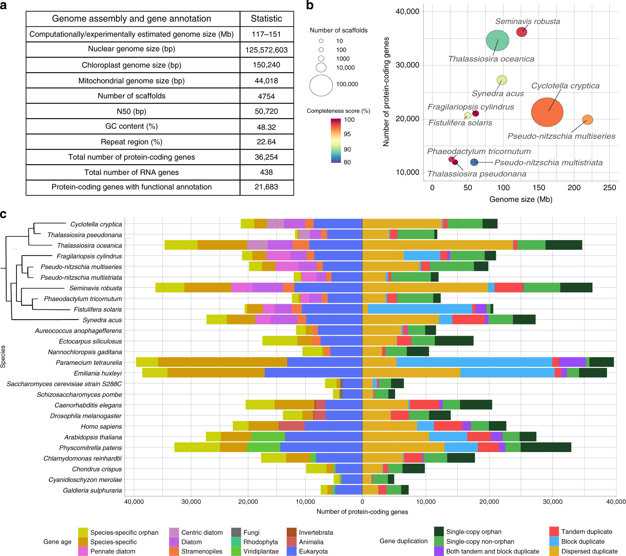 dollar dialekt Europa The Seminavis robusta genome provides insights into the evolutionary  adaptations of benthic diatoms | Nature Communications