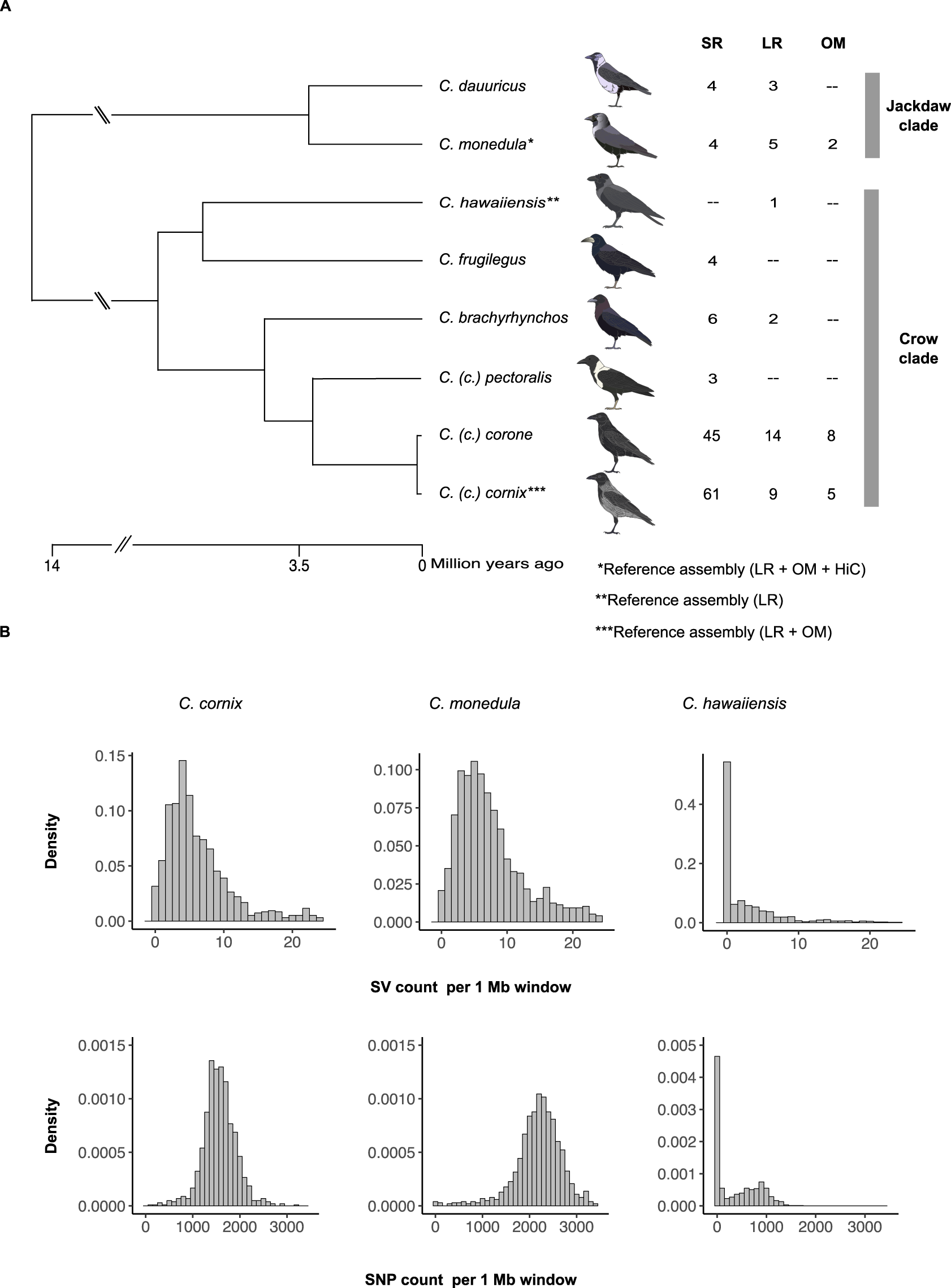 Discovery And Population Genomics Of Structural Variation In A