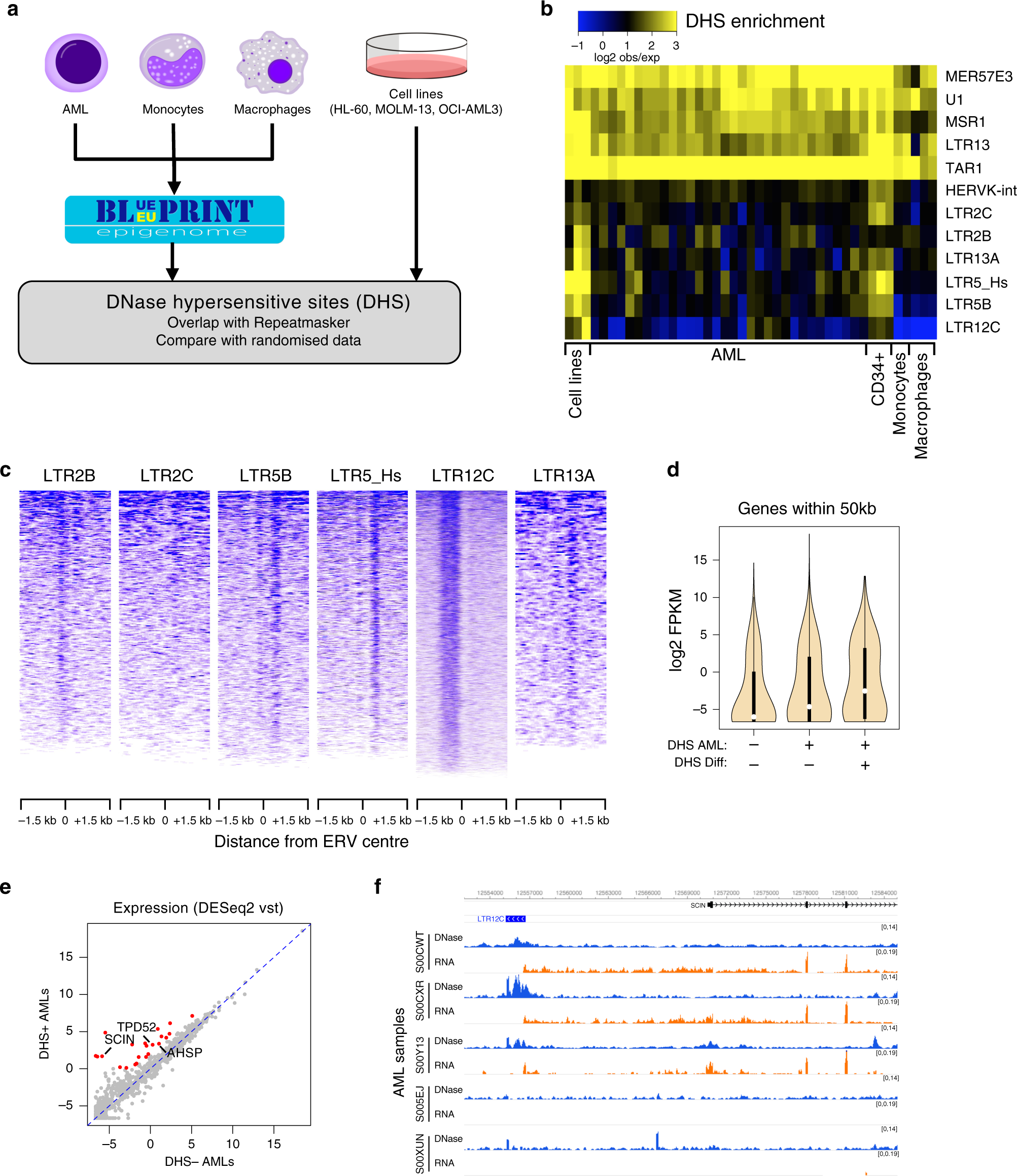 Endogenous Retroviruses Are A Source Of Enhancers With Oncogenic Potential In Acute Myeloid Leukaemia Nature Communications