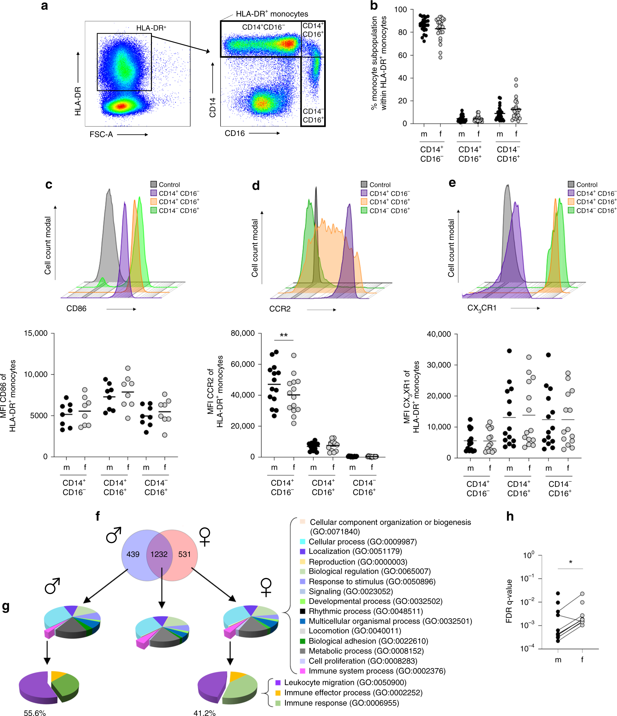 Fig. 3: Monocytes from healthy men show stronger expression profile for migration.