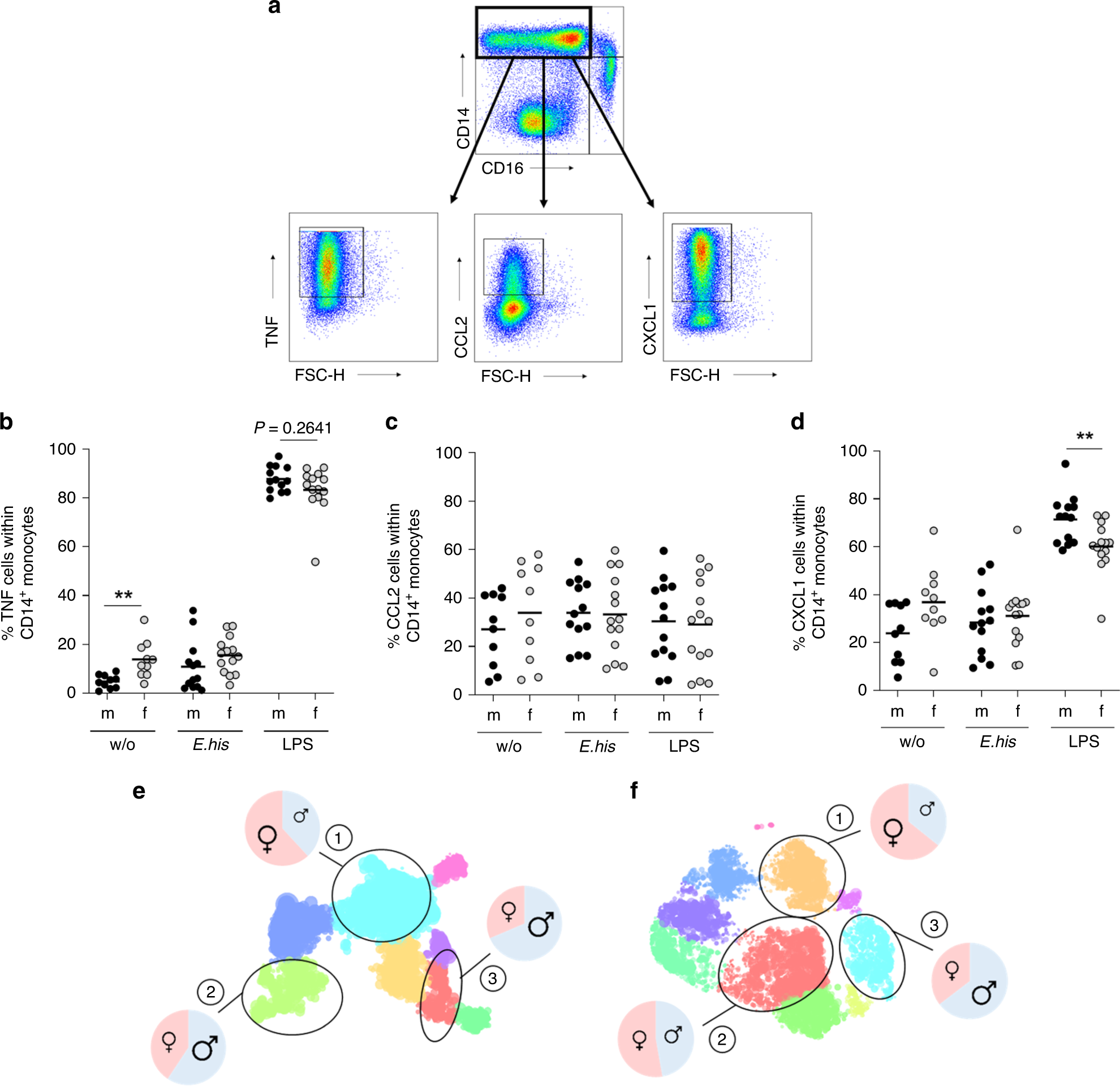Fig. 4: TNF+, CXCL1+, and CCL2+ classical monocytes are more abundant in men.