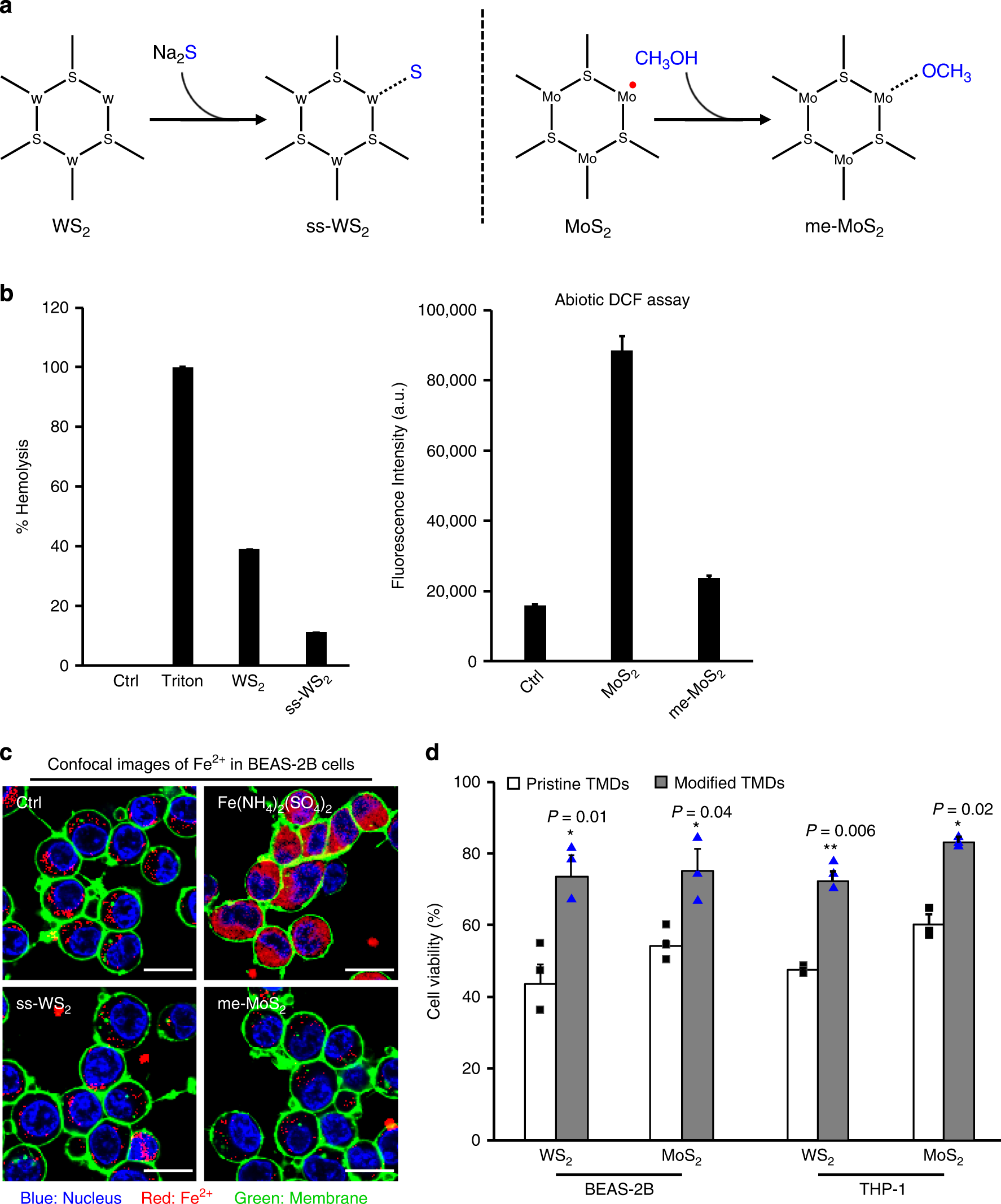 Fig. 5: Safe design of WS2 and MoS2 by surface passivation.