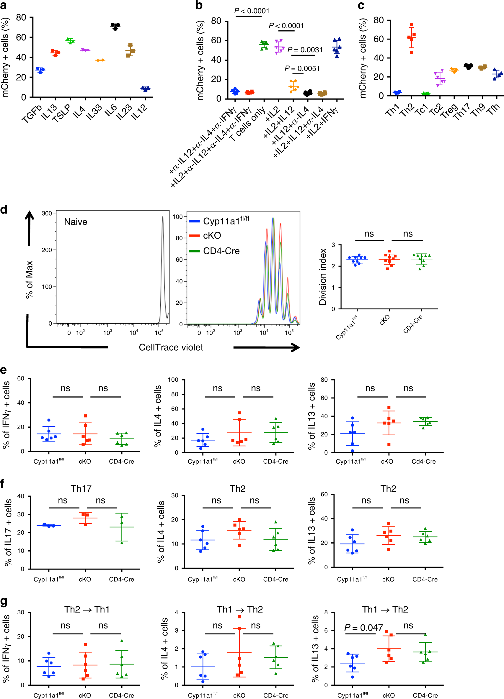 Fig. 2: Analysis of Cyp11a1-expressing T cells using Cyp11a1 reporter and cKO mice.