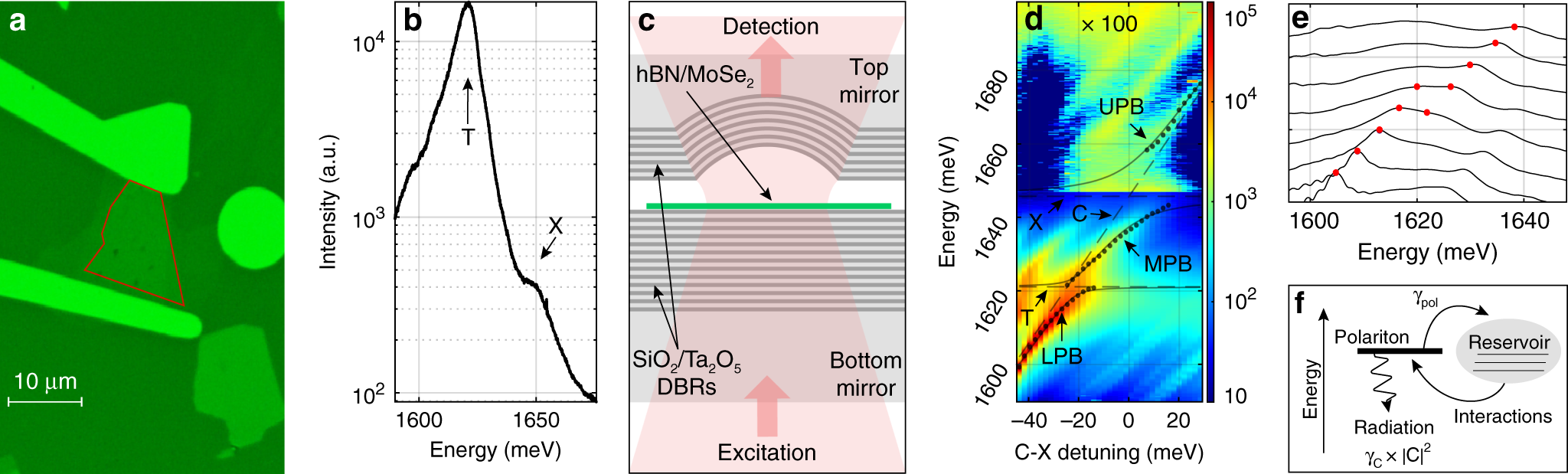 Highly Nonlinear Trion Polaritons In A Monolayer Semiconductor Nature Communications Highly Nonlinear Trion Polaritons In A Monolayer Semiconductor Nature Communications